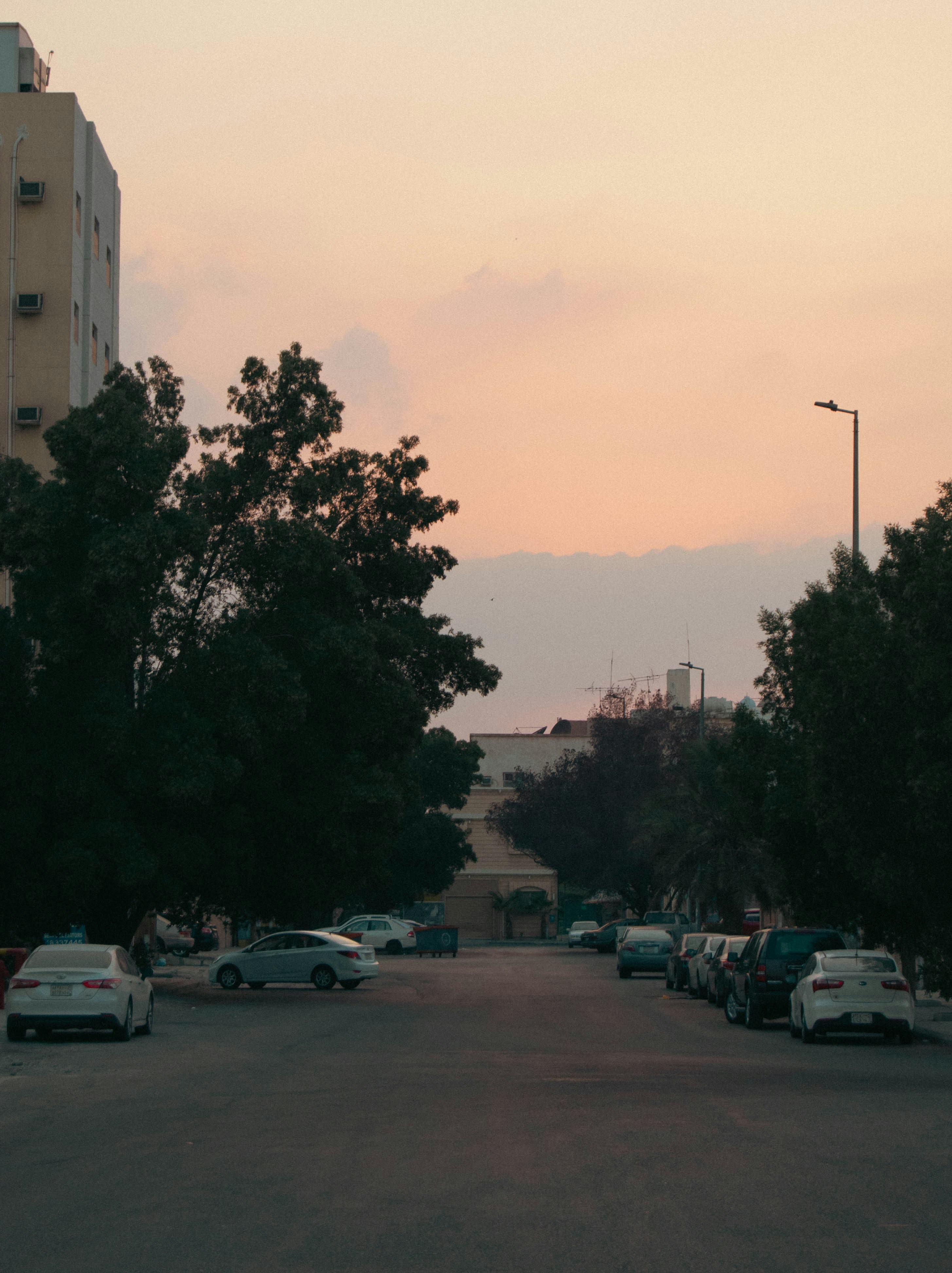 AlUla – Transportation & Getting Around