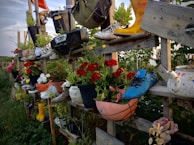 A creative and eclectic garden display consisting of various potted plants arranged on wooden shelves. The pots include unusual containers like shoes, boots, a basketball, and a teapot. Bright red and white flowers provide vibrant contrast against the greenery, and there are various other items like an old radio and bucket contributing to the quirky aesthetic.