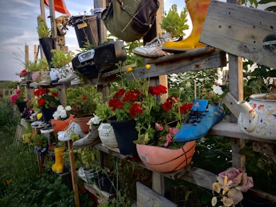 A creative and eclectic garden display consisting of various potted plants arranged on wooden shelves. The pots include unusual containers like shoes, boots, a basketball, and a teapot. Bright red and white flowers provide vibrant contrast against the greenery, and there are various other items like an old radio and bucket contributing to the quirky aesthetic.