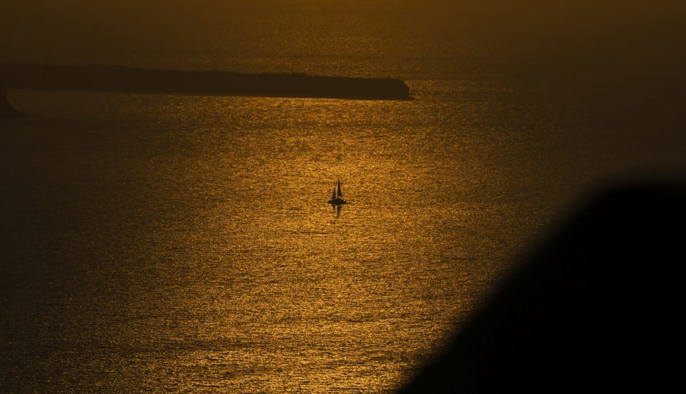 a bird flying over water