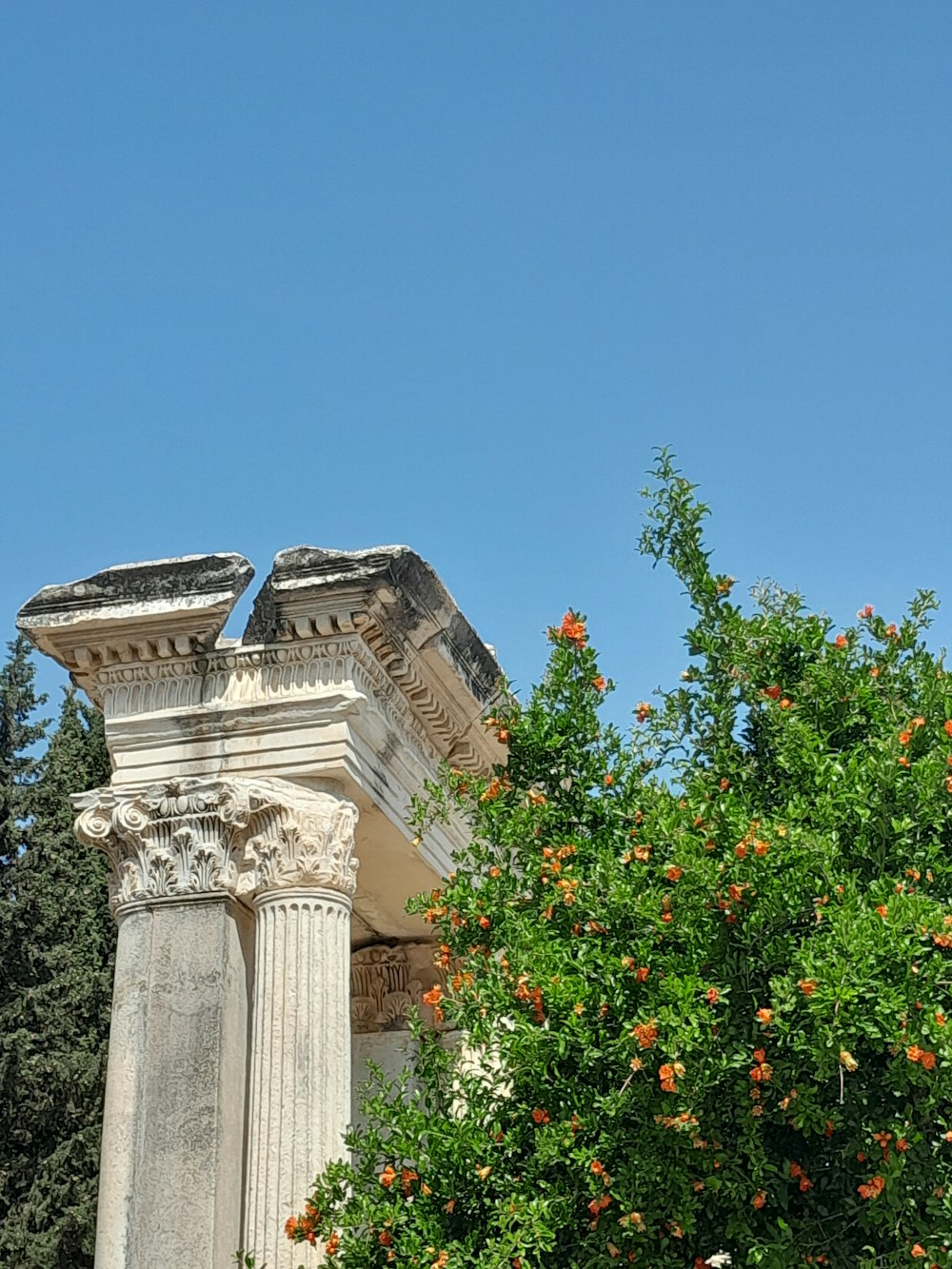 a large stone structure with a tree in front of it