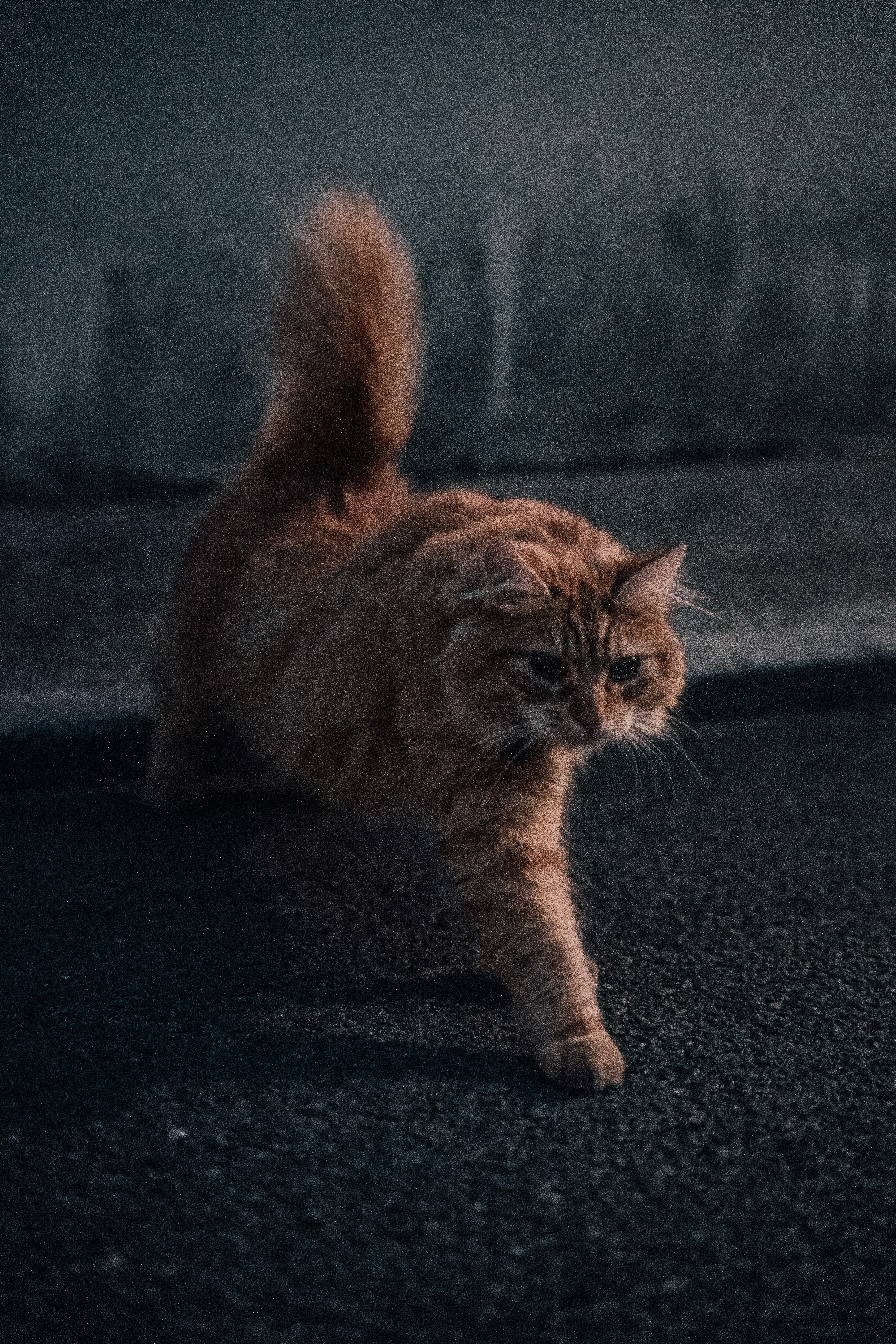 Always Available, Day or Night (image credits: unsplash)