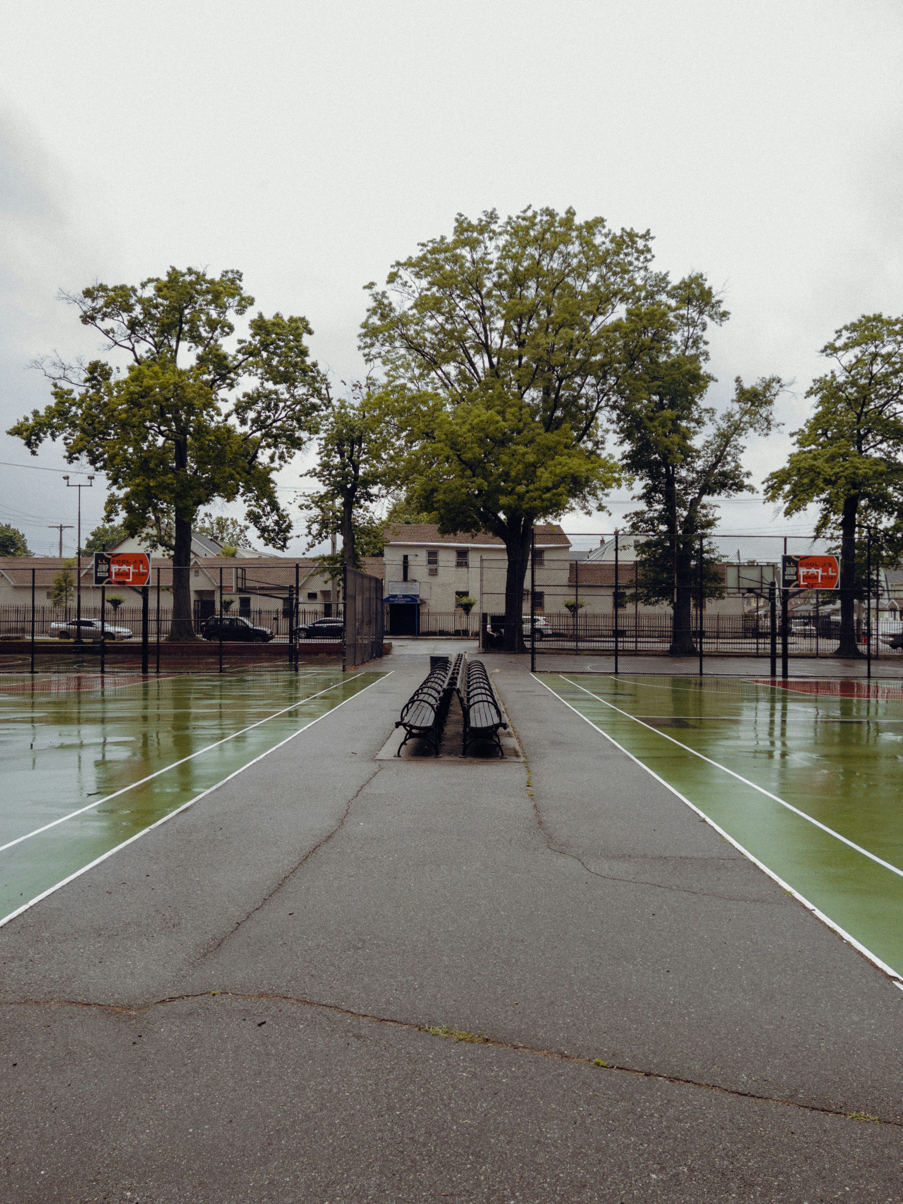 Una calle húmeda con árboles y edificios