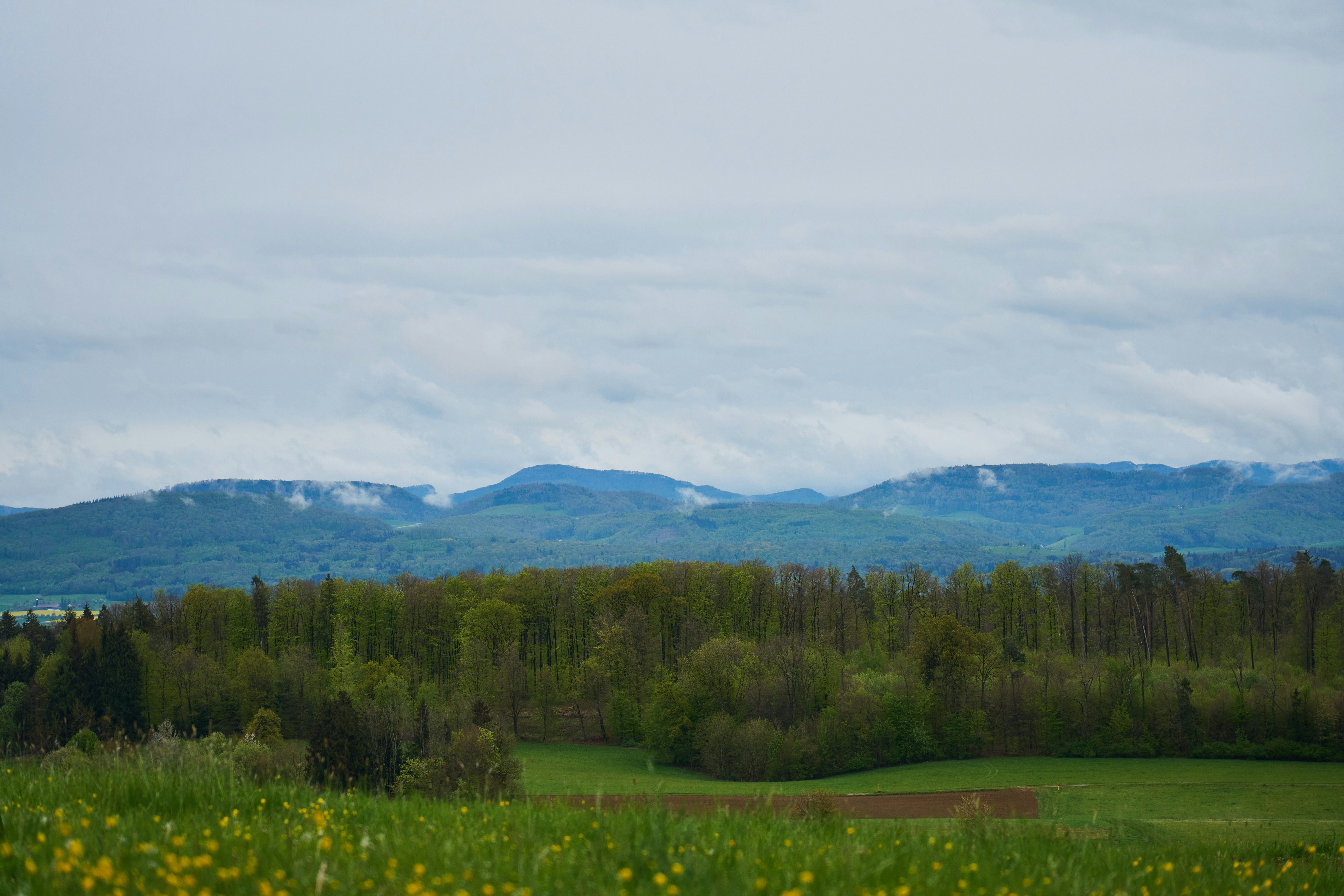 Photo by wolfgang_hasselmann