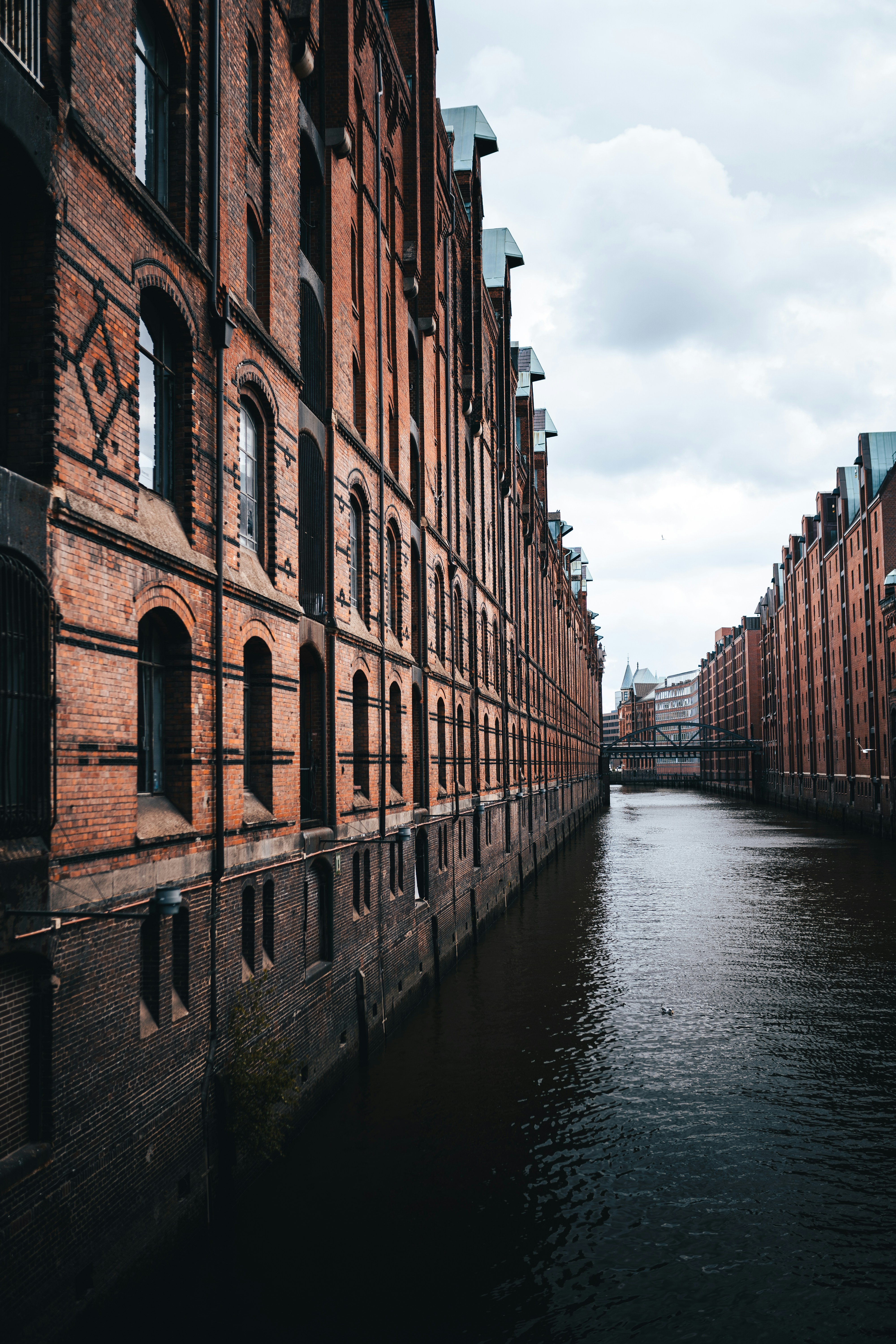 Photo by mauricesahl