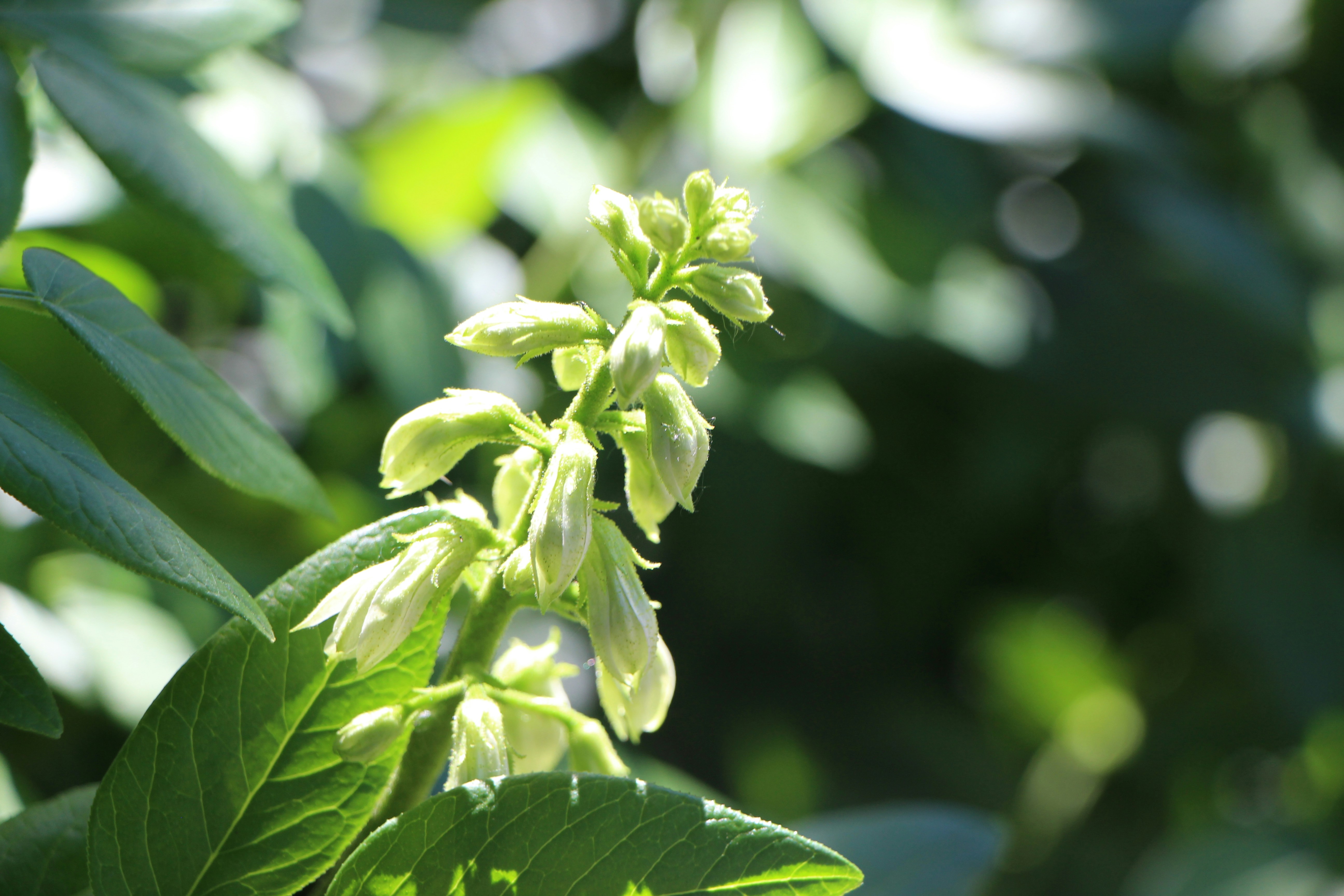 Photo by bridjett_renae_photography