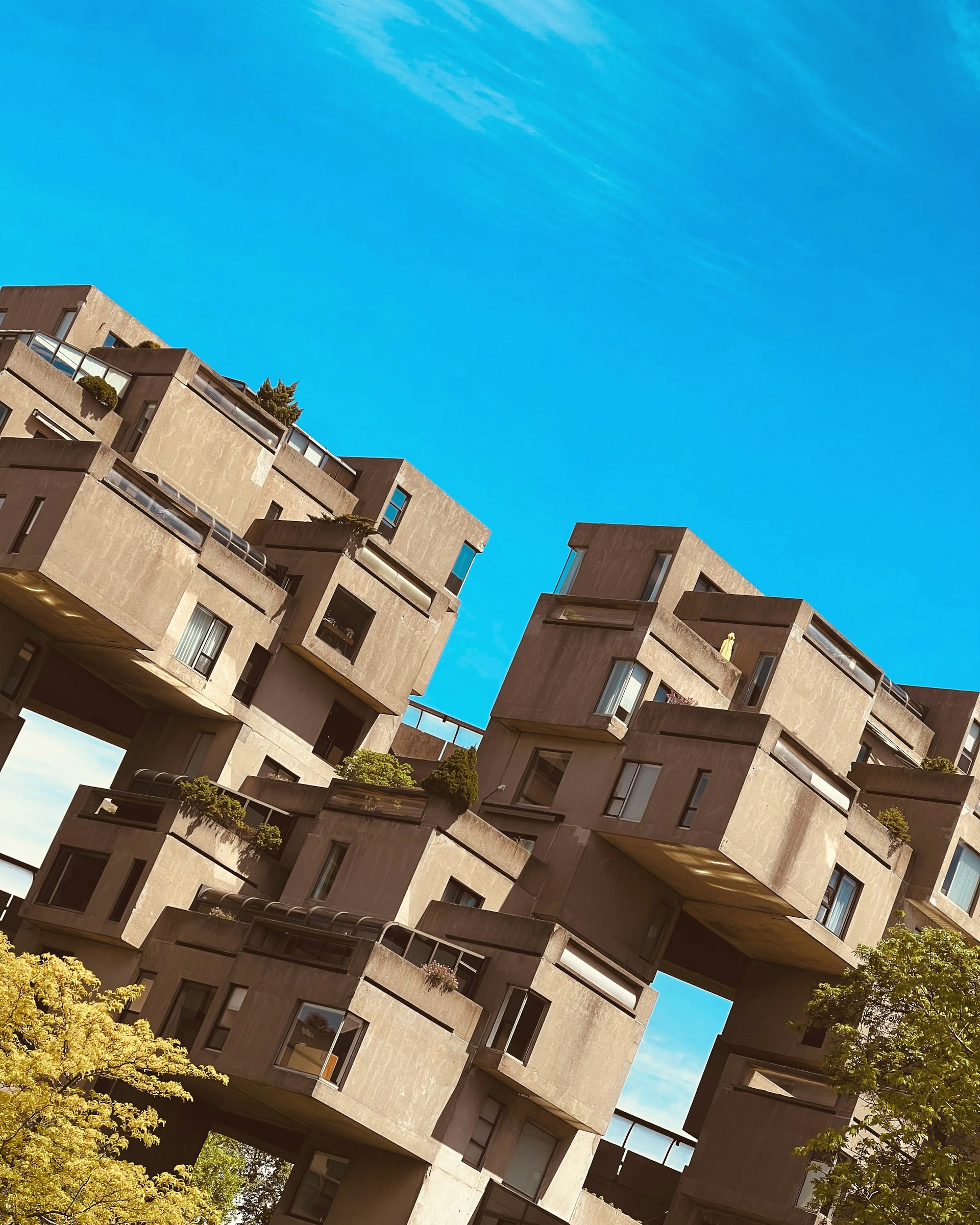 A panoramic view of a modern residential complex designed by bees, showcasing clean lines and sustainable materials under a clear blue sky.