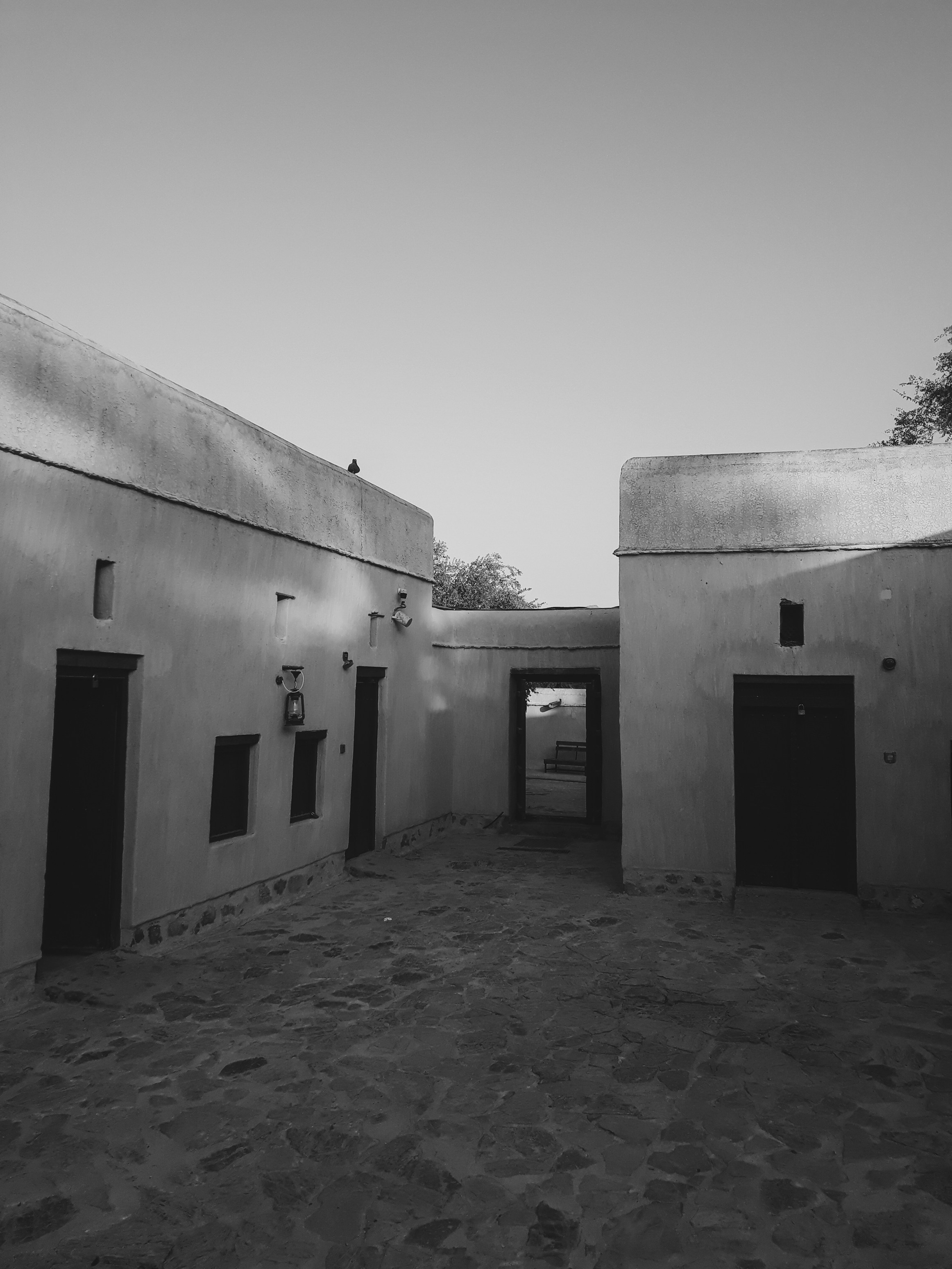 Photo by sahil_ibn_sarafudeen