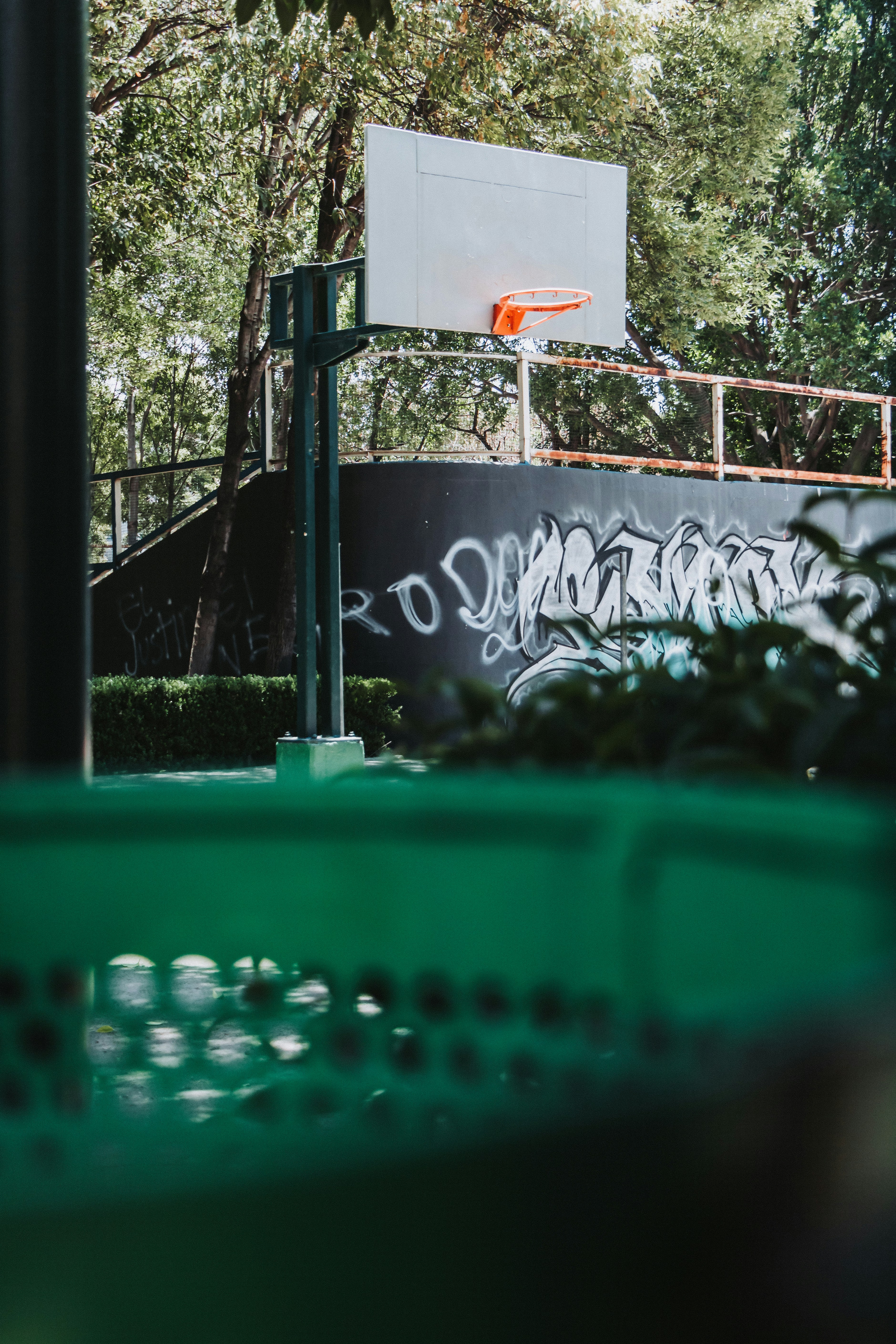 Photo by ximenaphoto