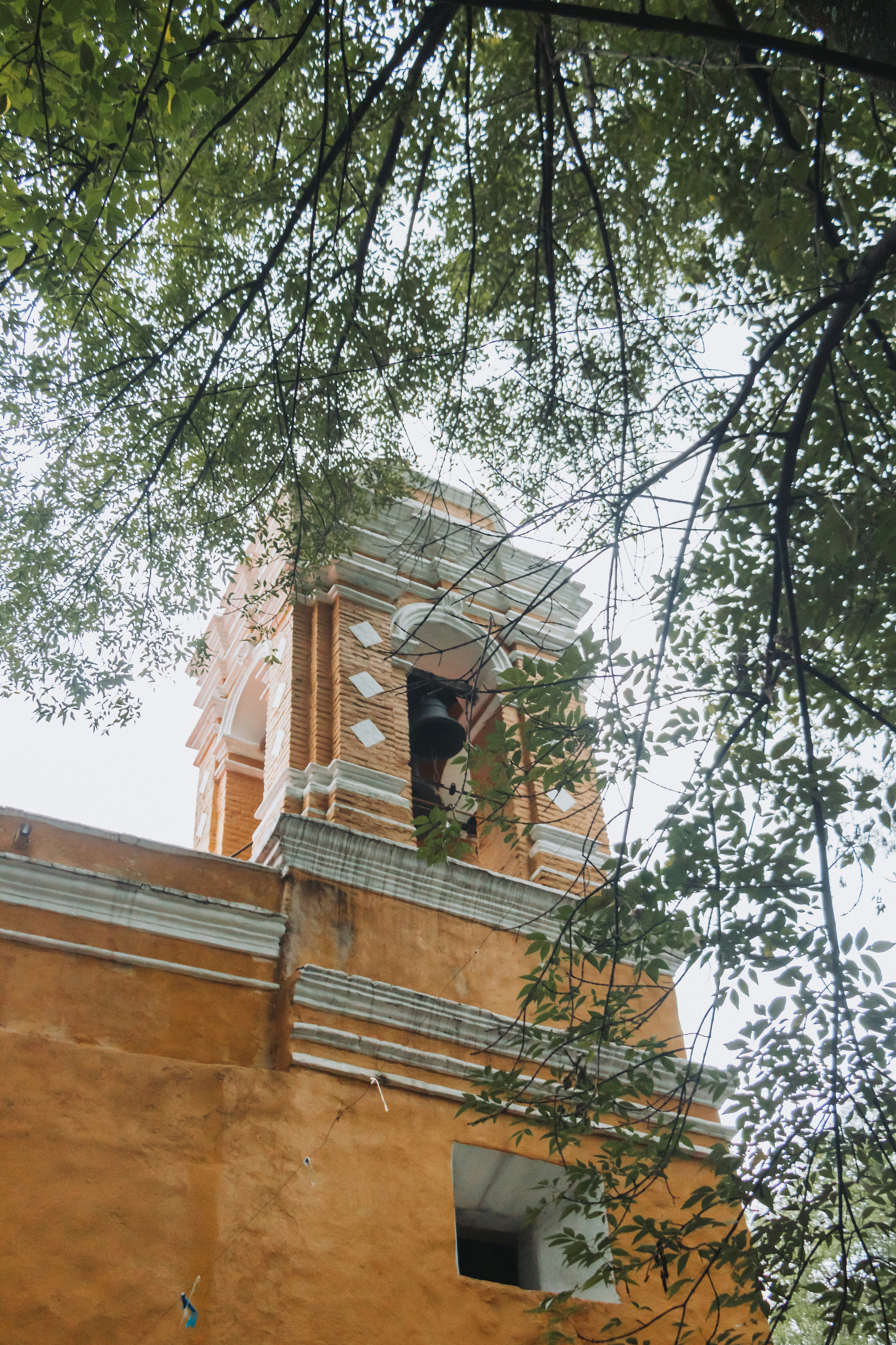 a building with a tree in the front