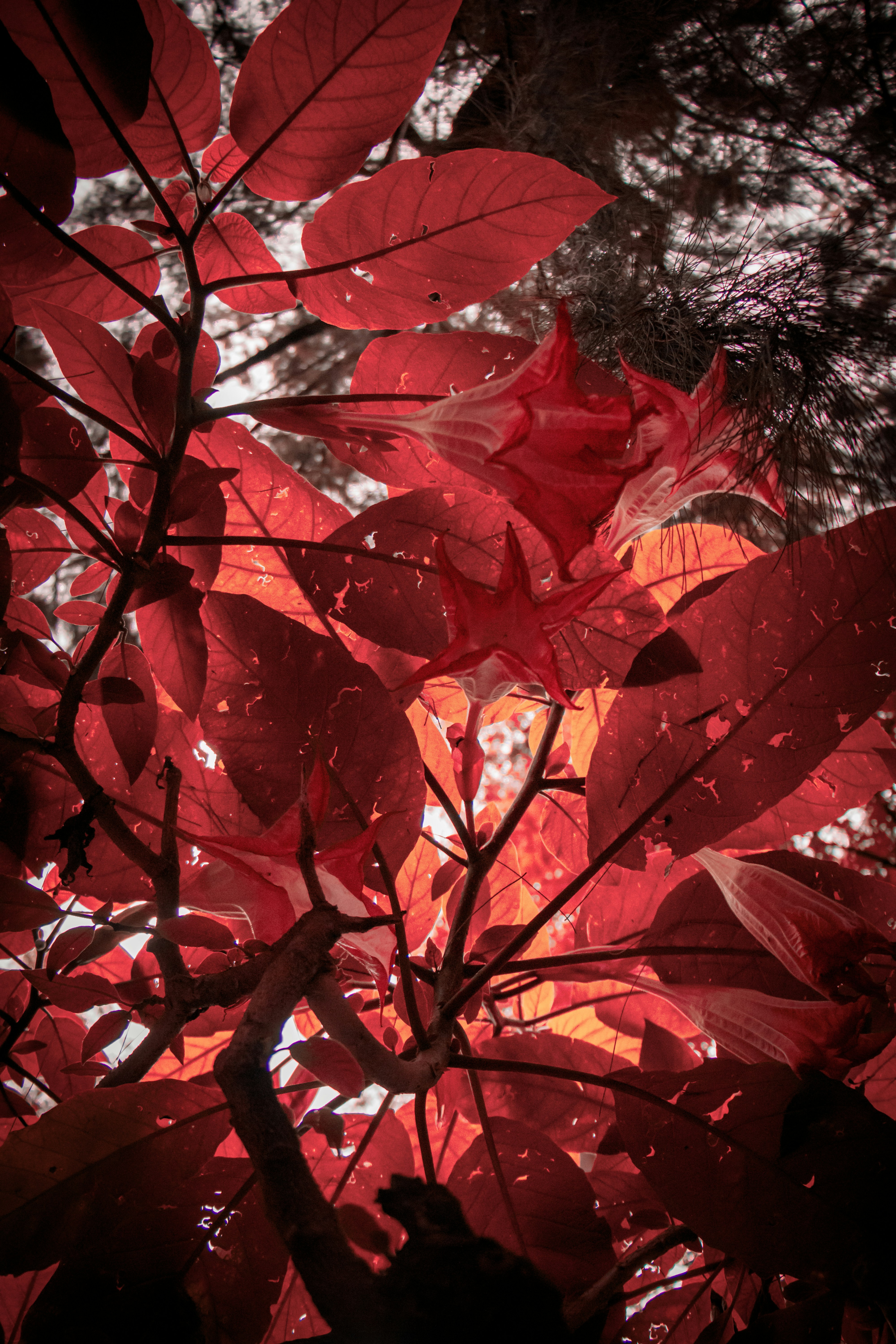 background pattern