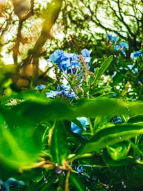 Photo 1656518443642 605a9562ba50?q=85&w=275&h=275&fit=crop