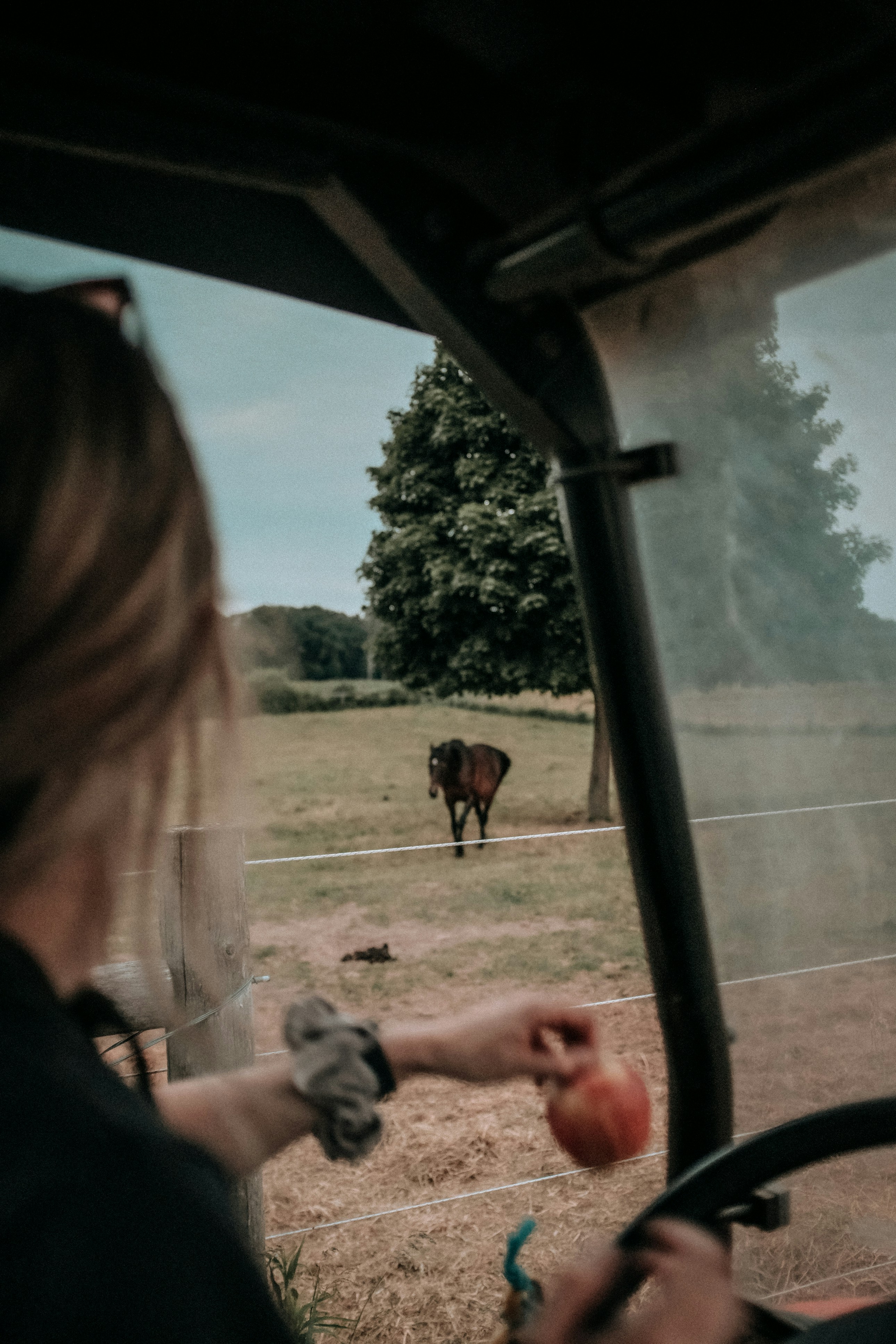 Keith Tanner, Head of Logistics, looking out a car window