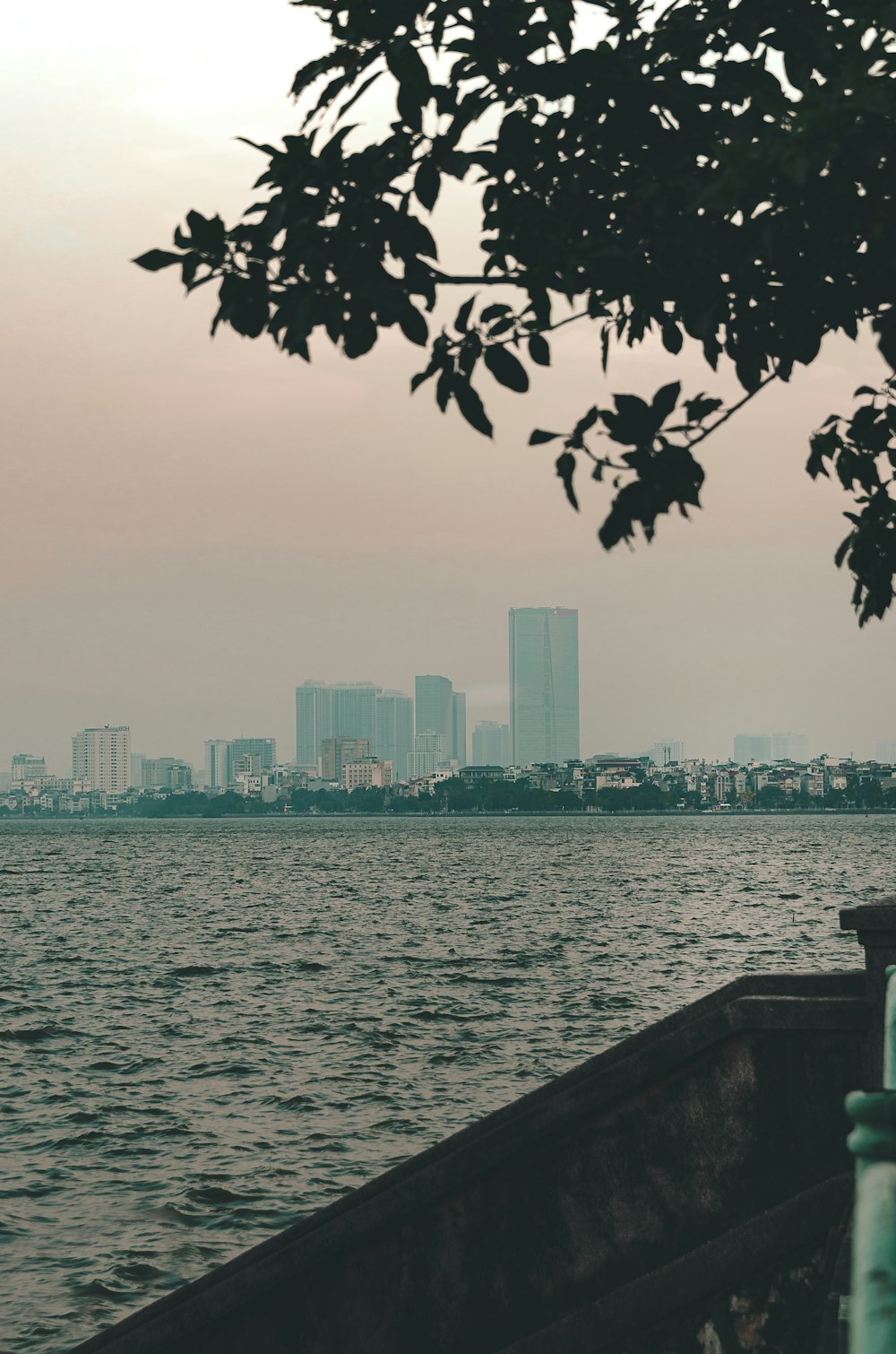 a tree next to a body of water with a city in the background