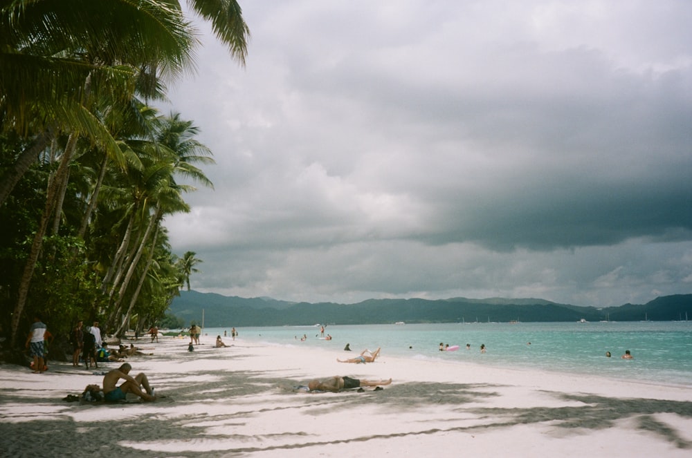 people on a beach