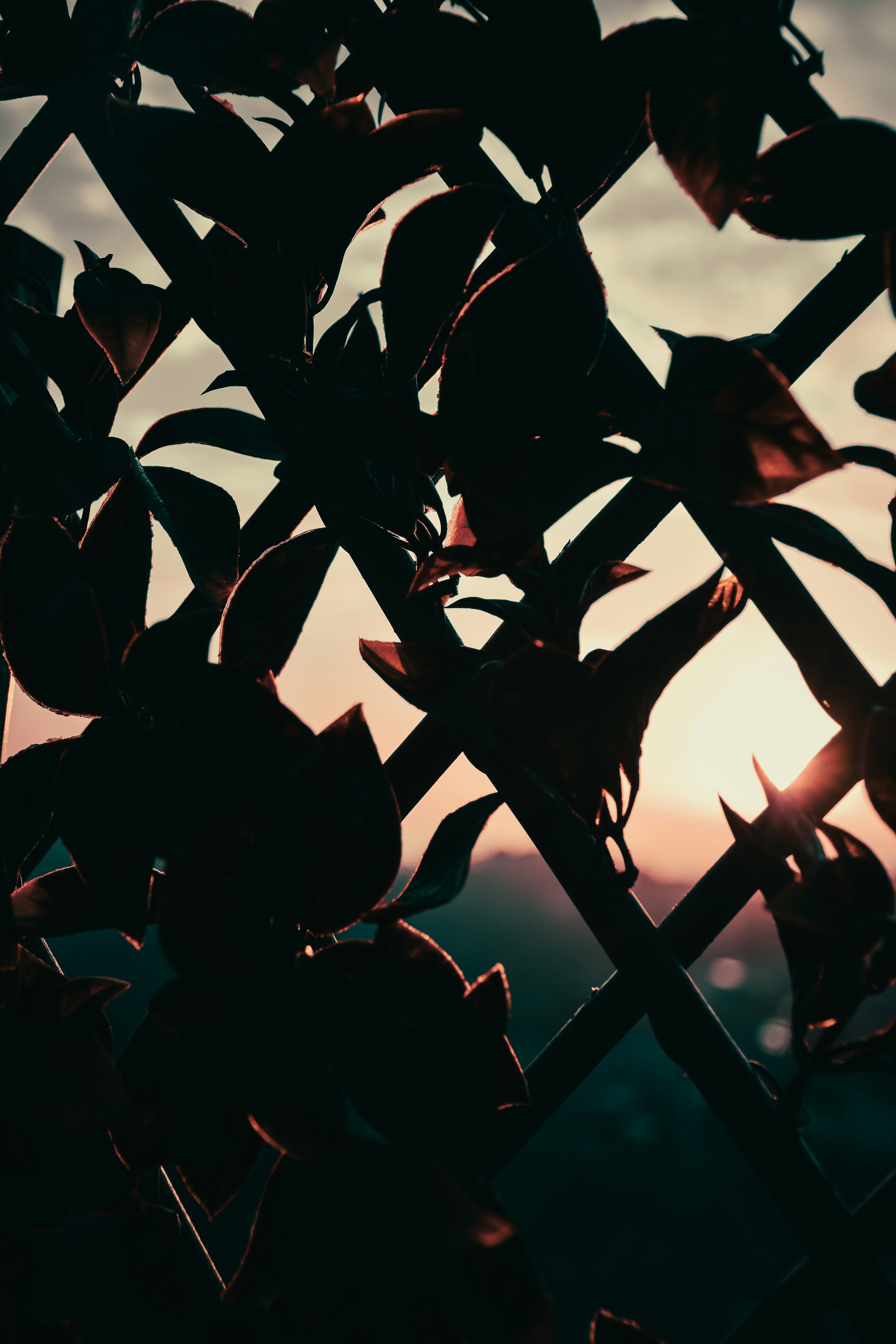 Photo by maverick_99