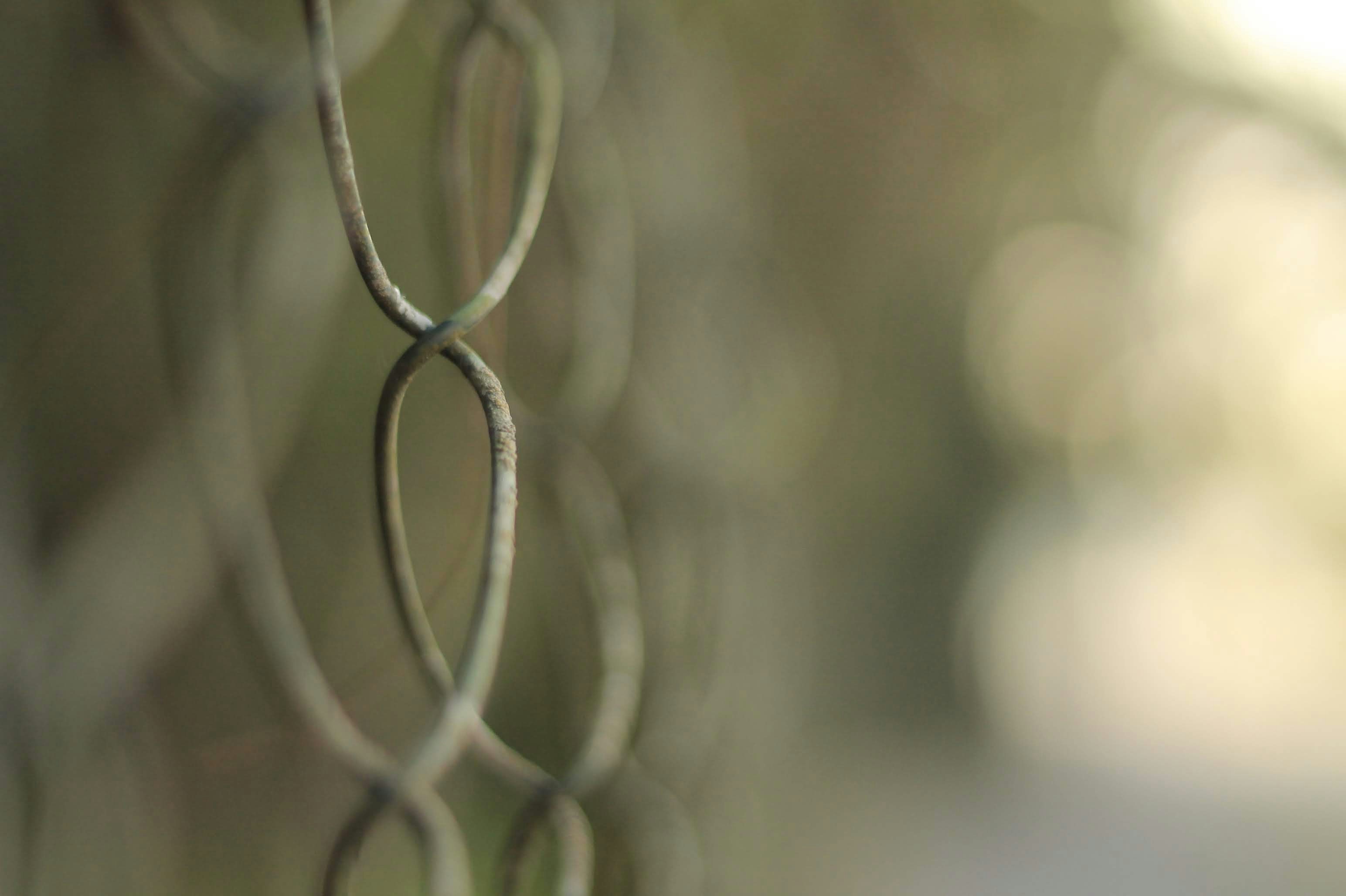 Photo by fotografo_junior