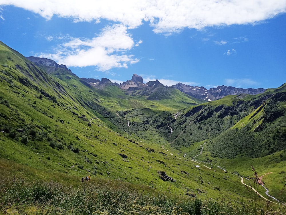 a grassy valley with mountains in the background