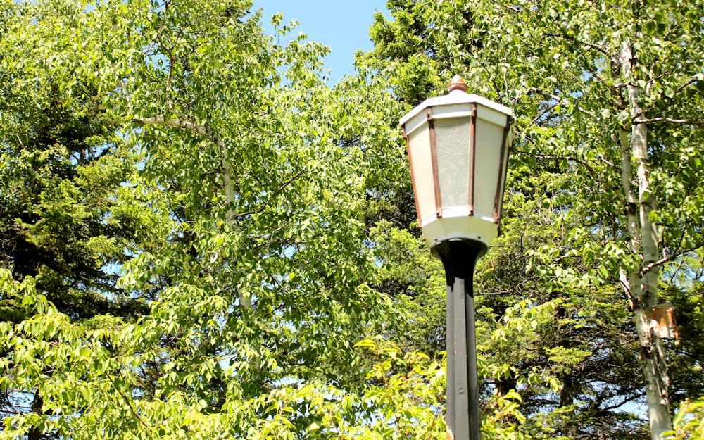 a light post with trees in the background