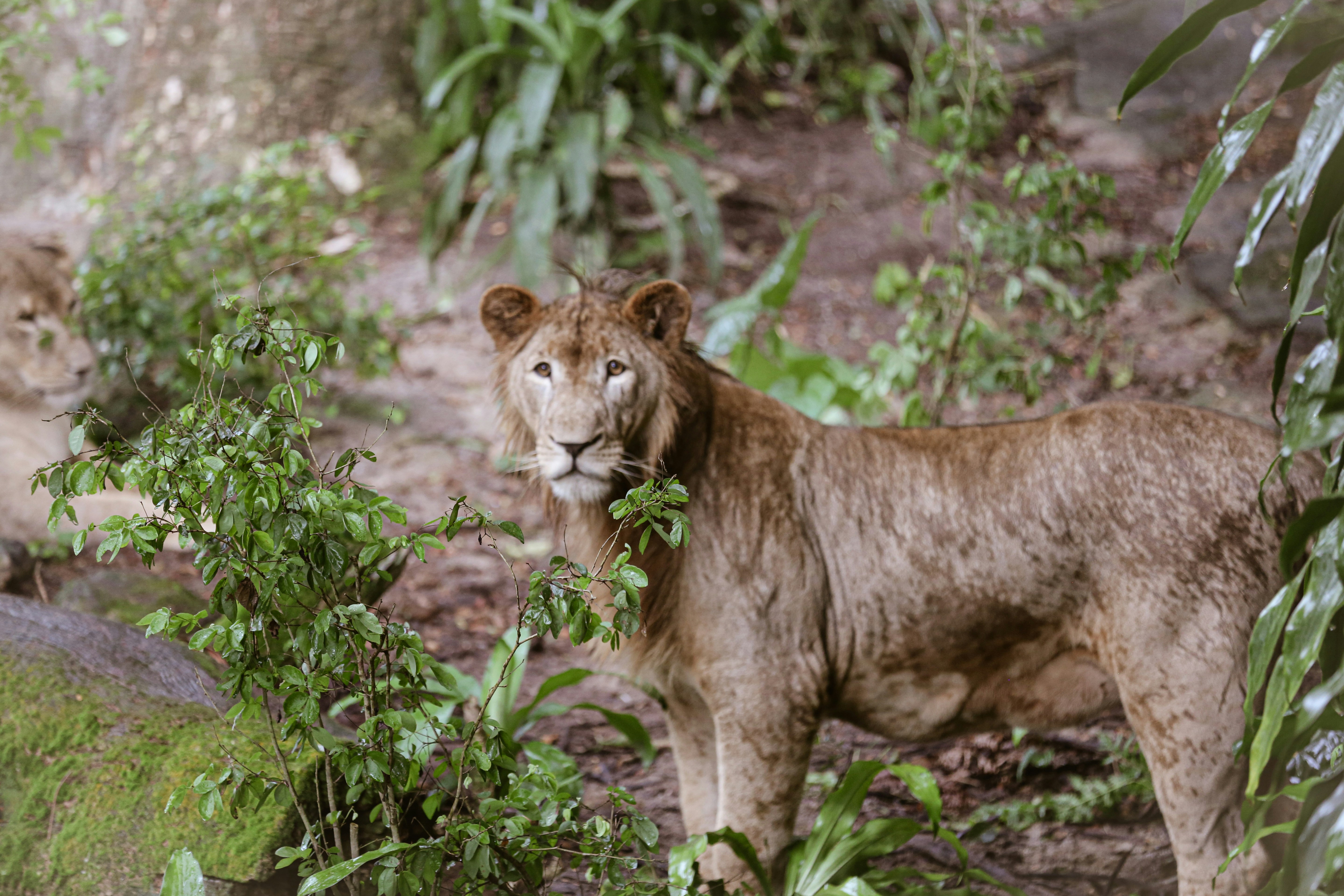 Photo by kapoorparas28