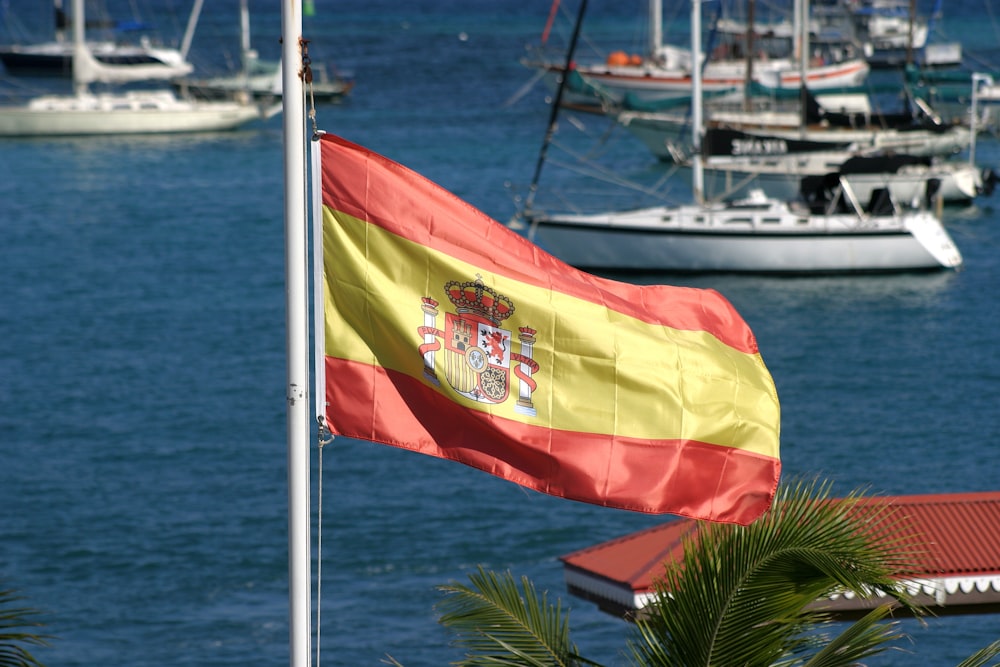 a flag on a pole