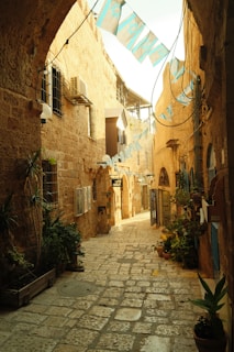 a narrow alley between two buildings