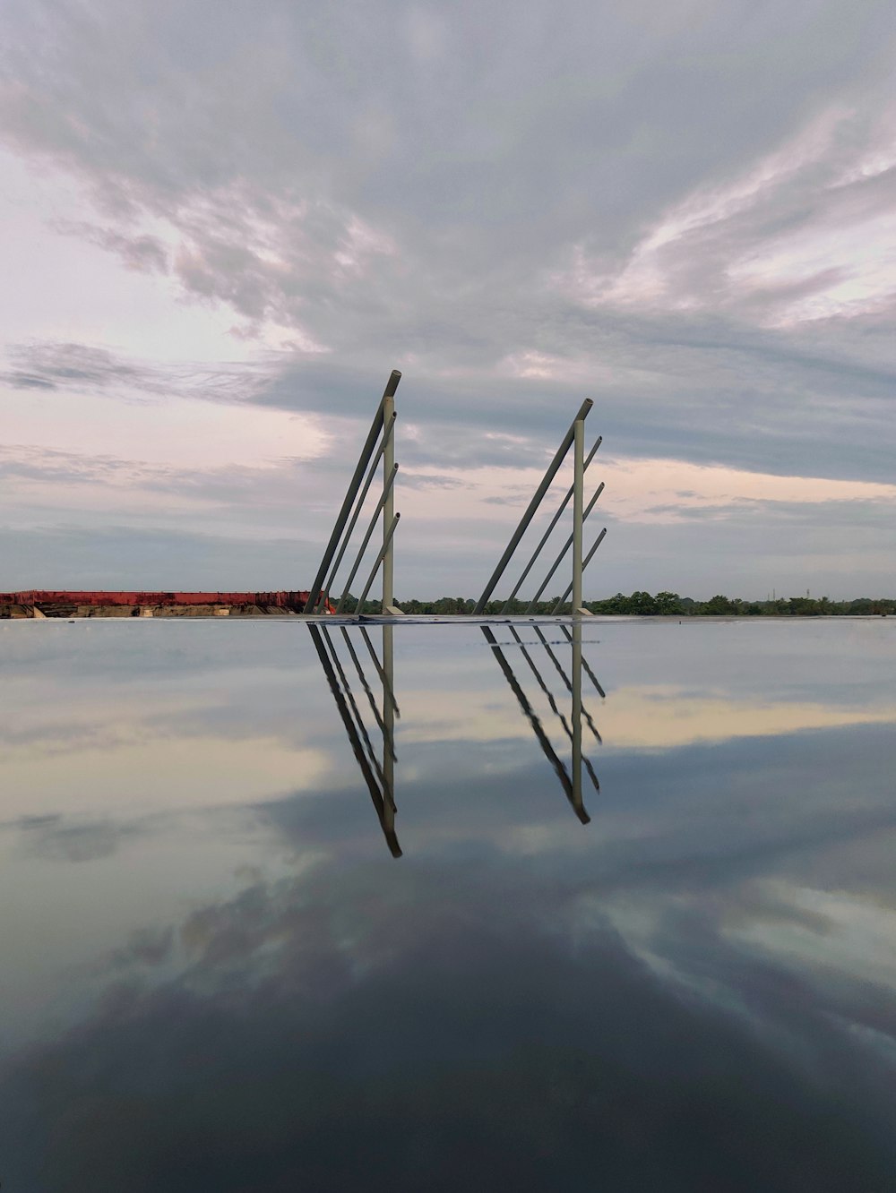 a group of cranes in the water