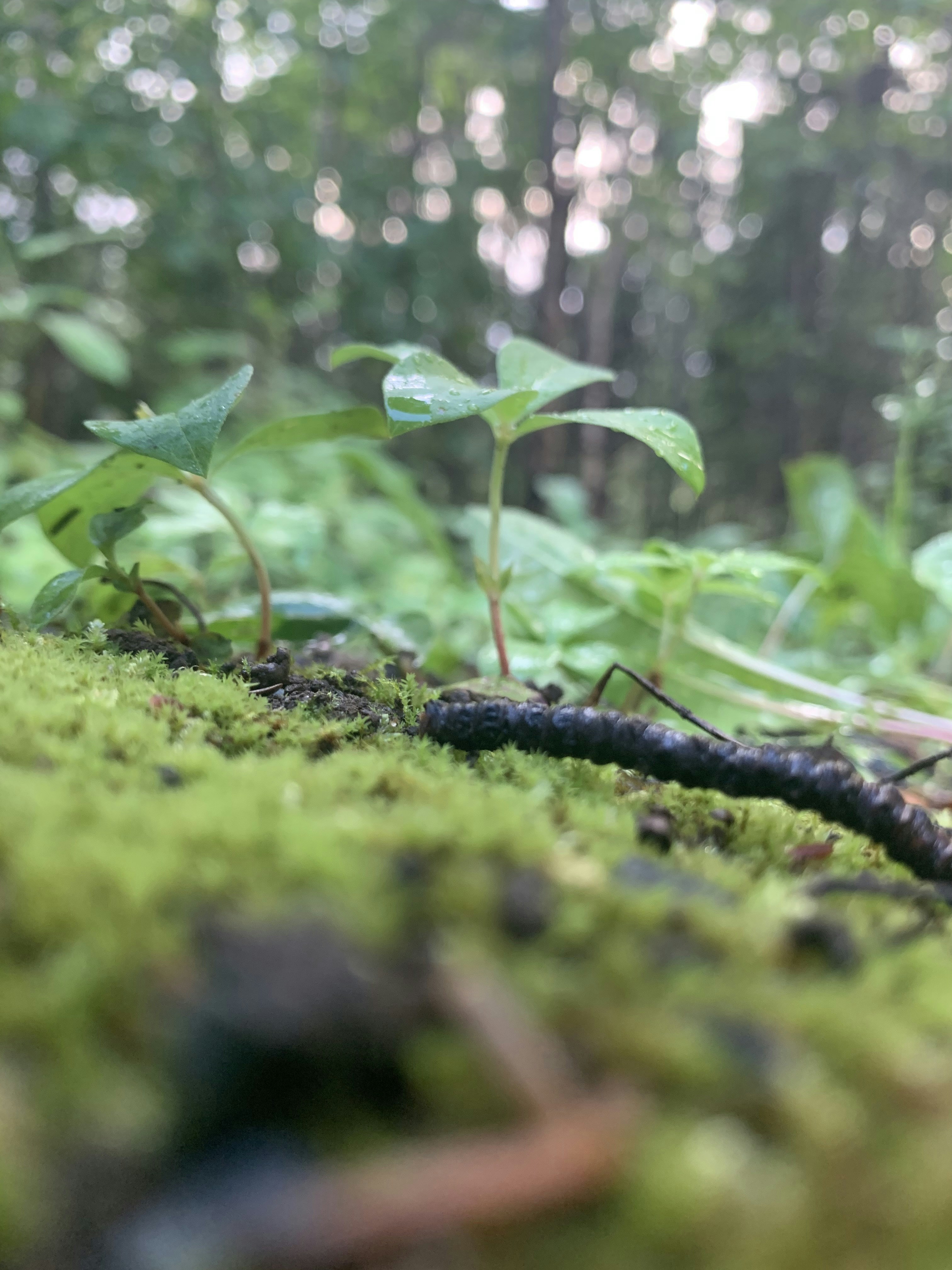 Photo by angel_photos14