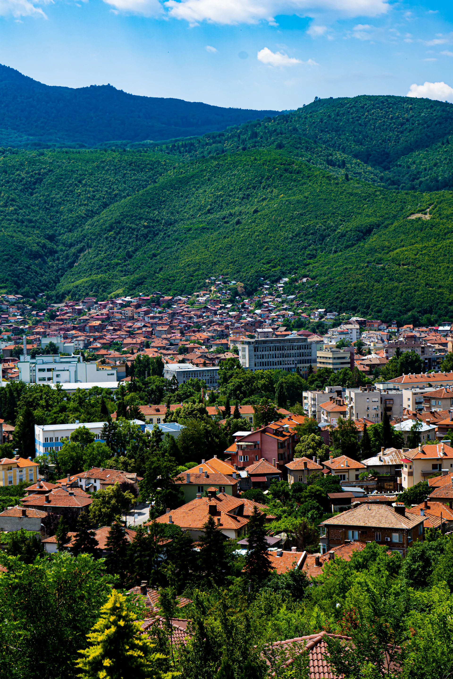 a city with many buildings and trees