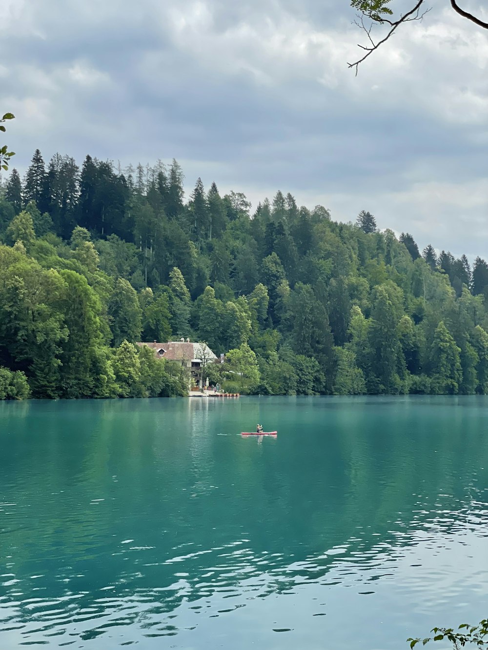 Ein Haus auf einem Hügel an einem See mit Bäumen