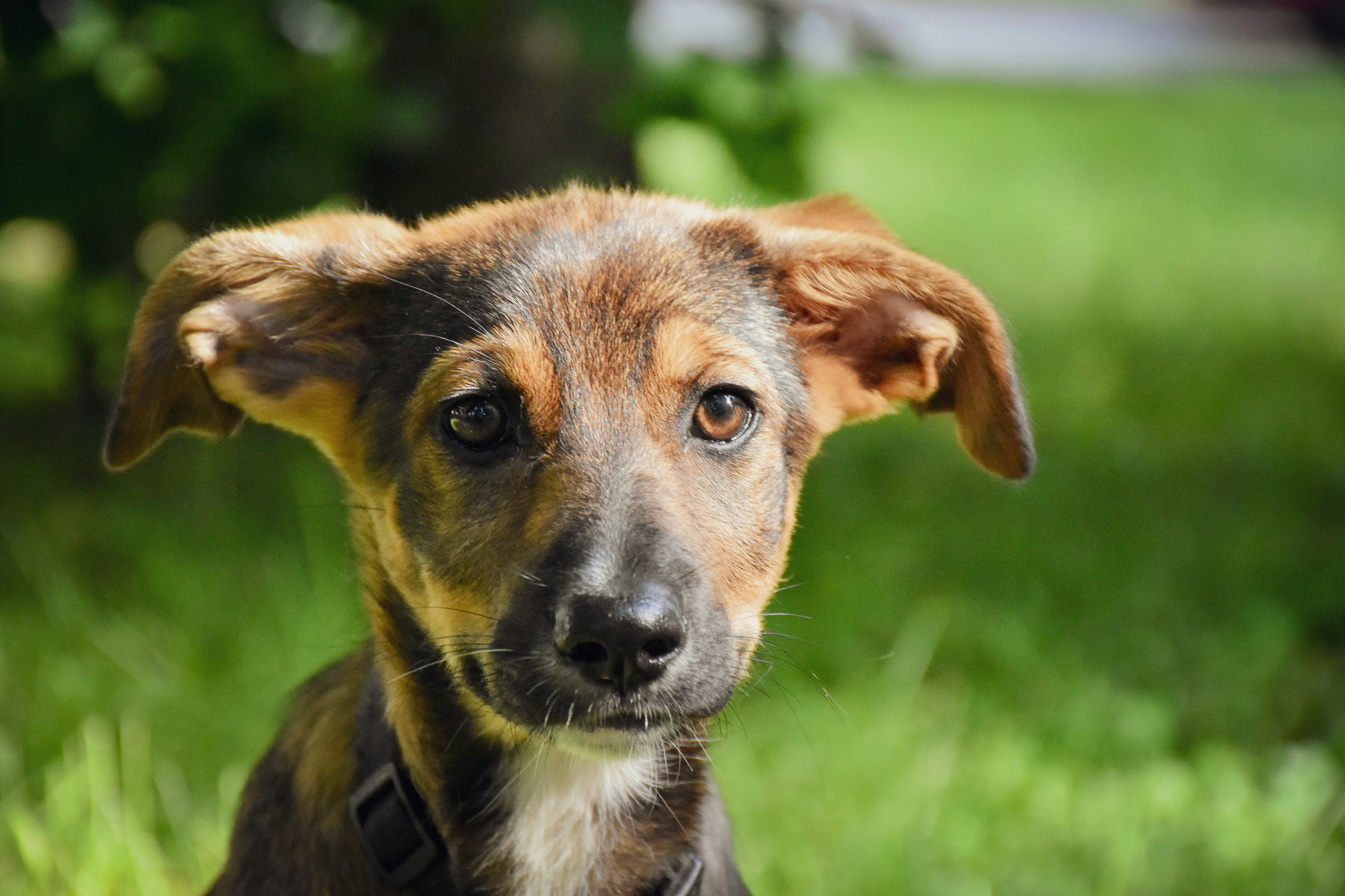 Photo by artem_makarov