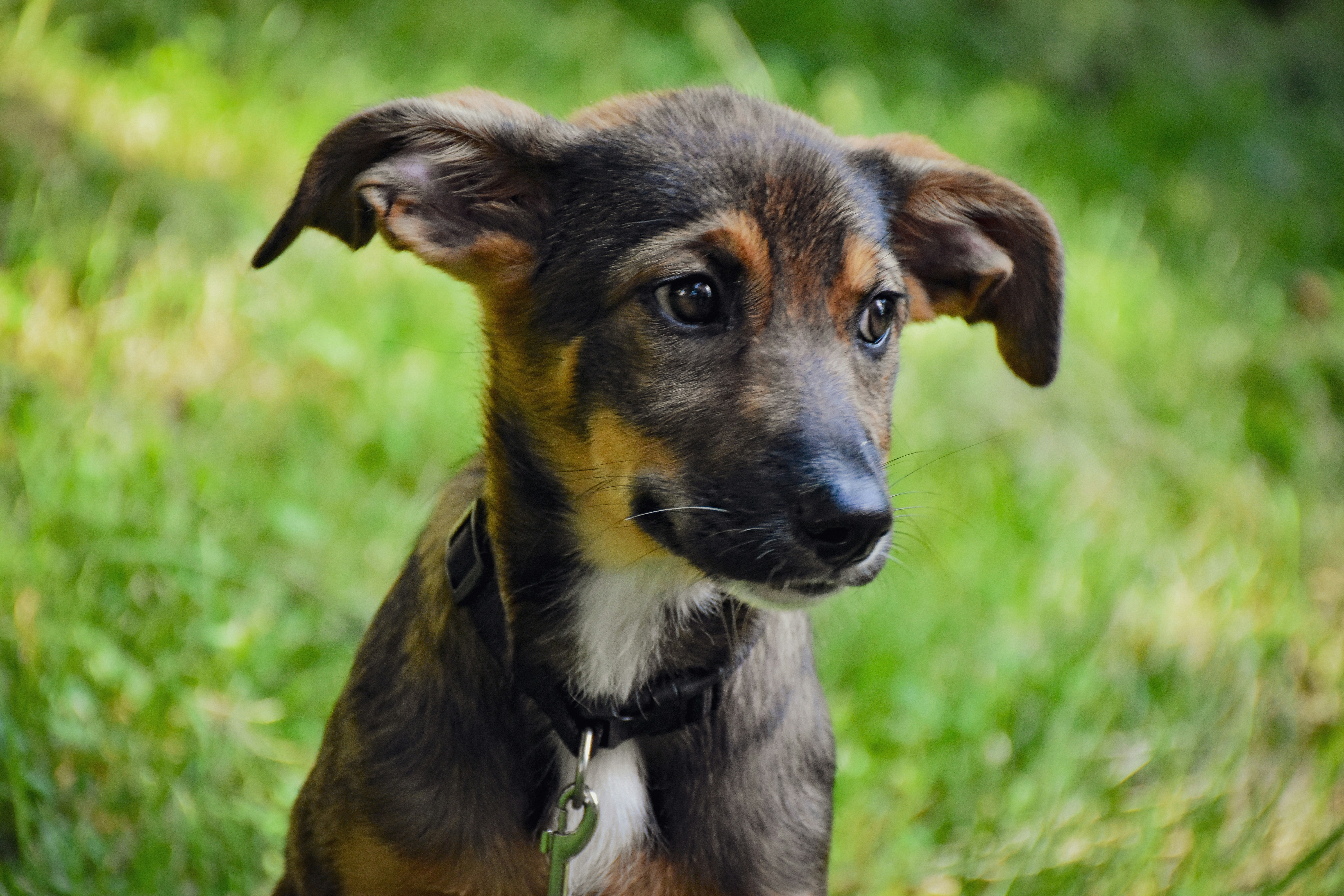 Photo by artem_makarov