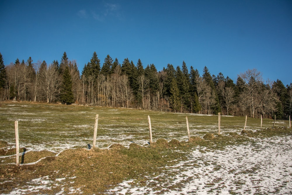 Ein Feld mit Schnee und Bäumen im Hintergrund