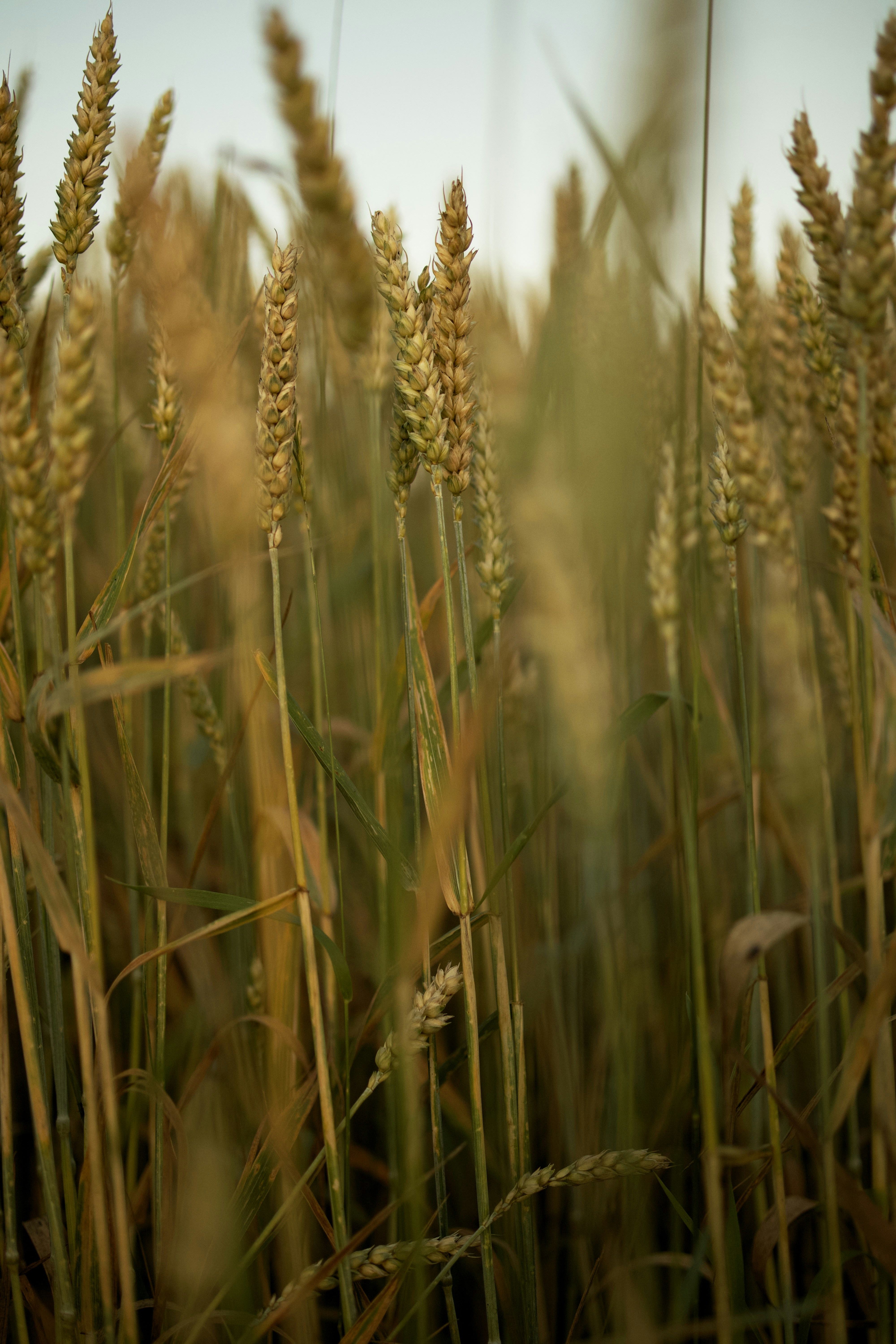 Photo by christian_dubendorfer