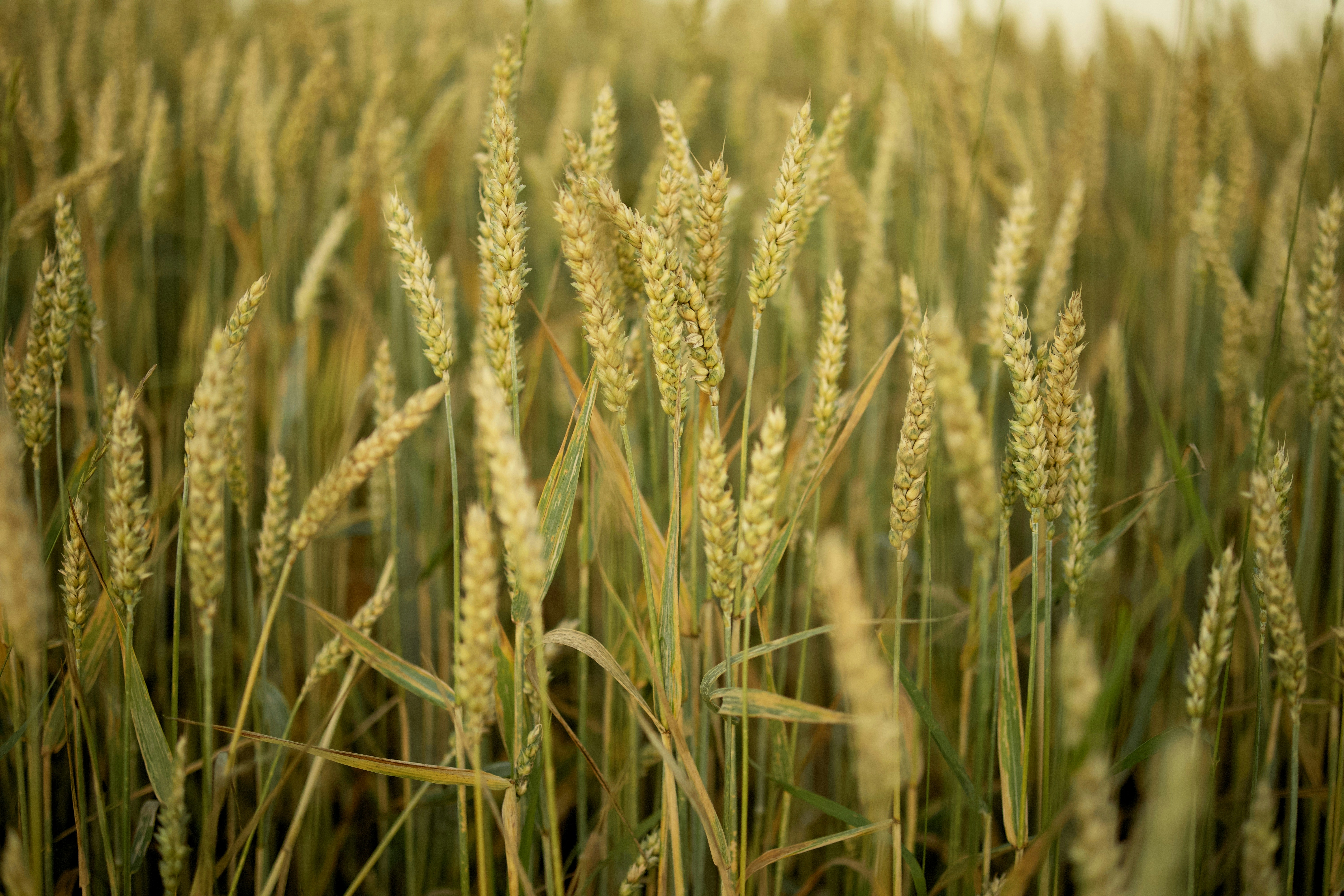 Photo by christian_dubendorfer