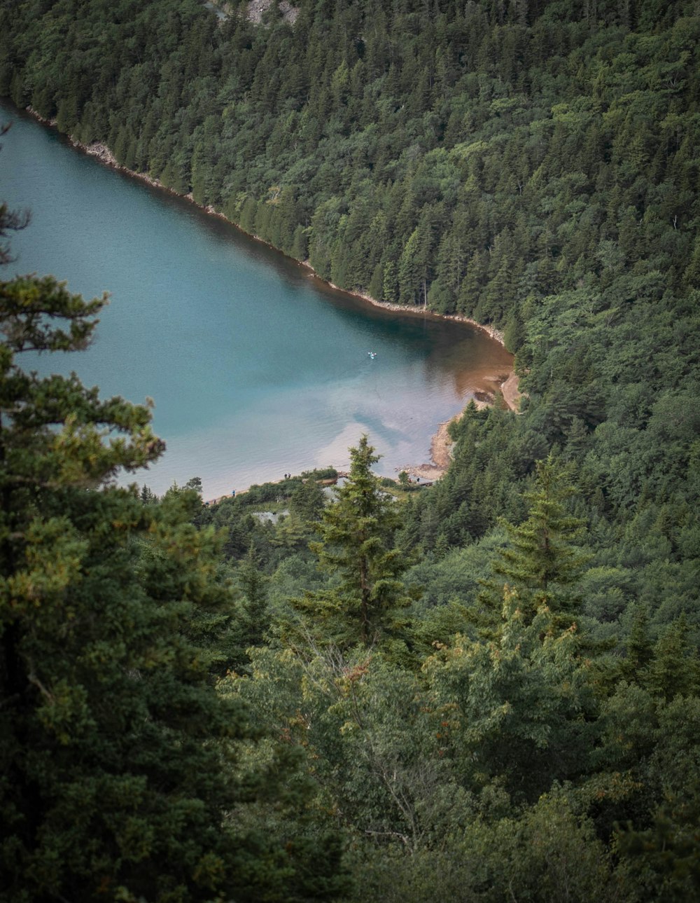 a lake surrounded by trees