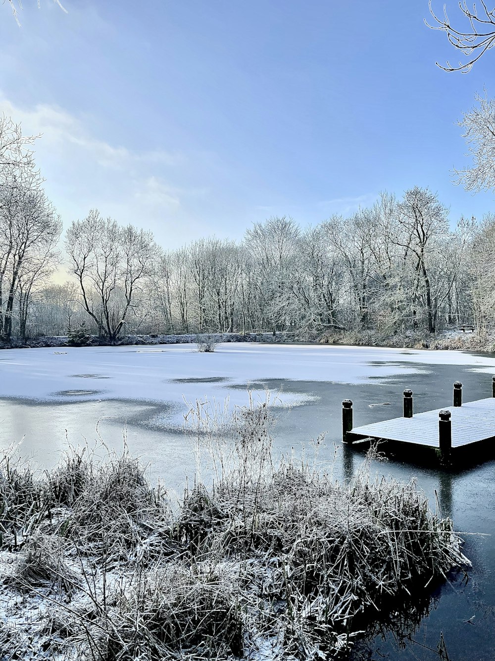 a snowy lake with trees