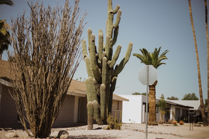 Strip-area commercial building fully covered with large-scale solar array by Vegas Solar