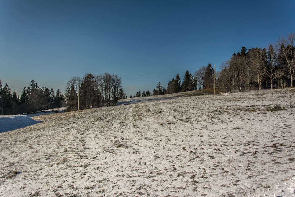 a snowy field with trees in the background