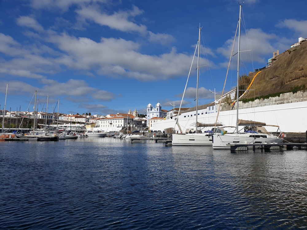 a group of boats sit in a harbor