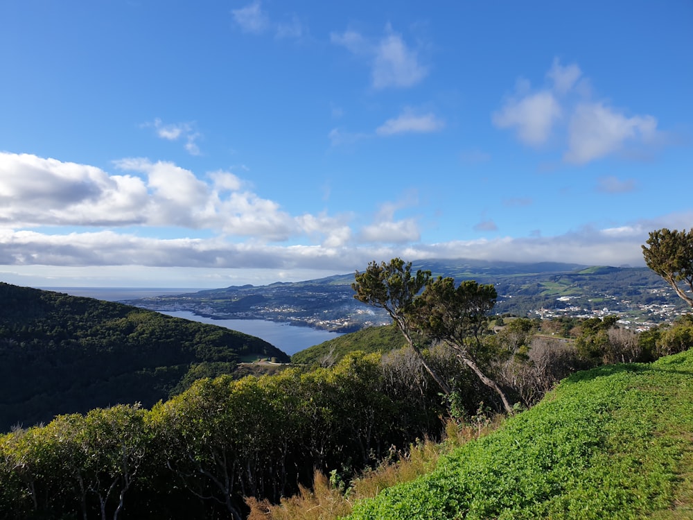 a landscape with trees and a body of water in the background