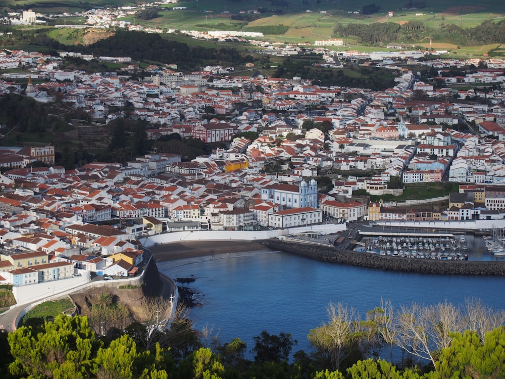 a city next to a body of water