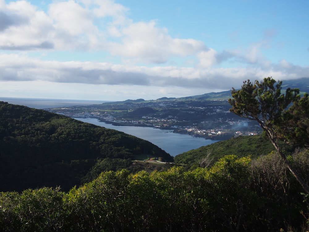 a view of a city and the ocean from a hill