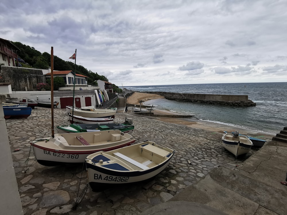 boats on the shore