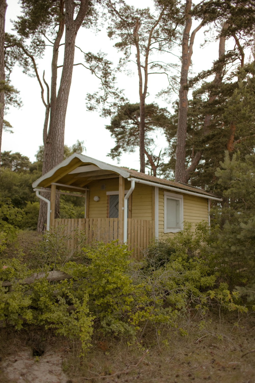 a small yellow house surrounded by trees
