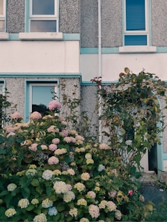 A sophisticated upscale residence with deep grey walls and vibrant garden landscaping