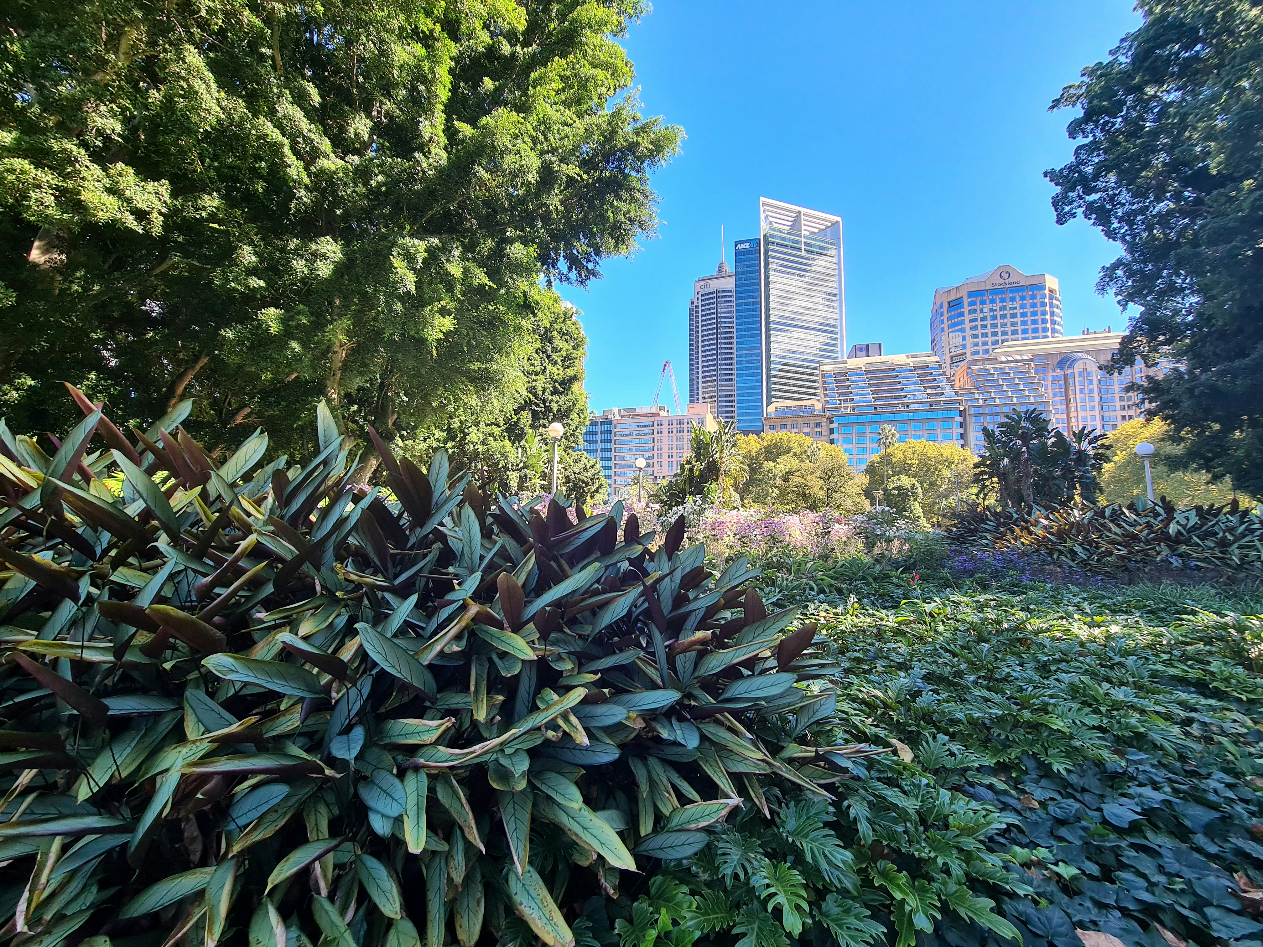 a garden with trees and buildings in the background