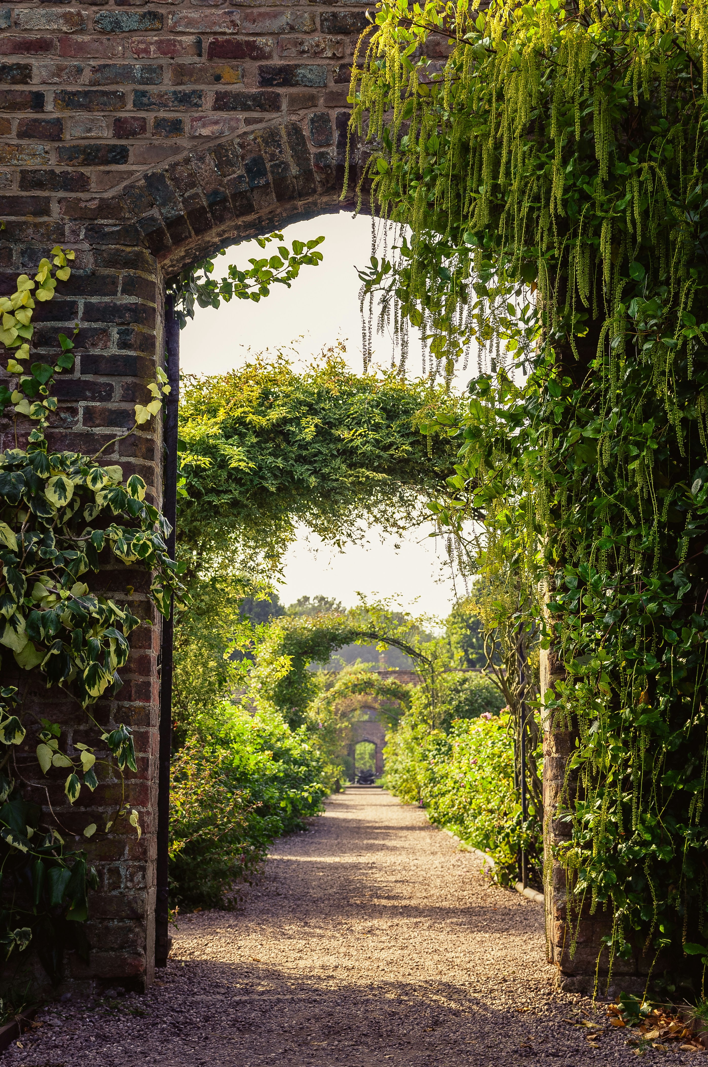 Photo by anotherleaf