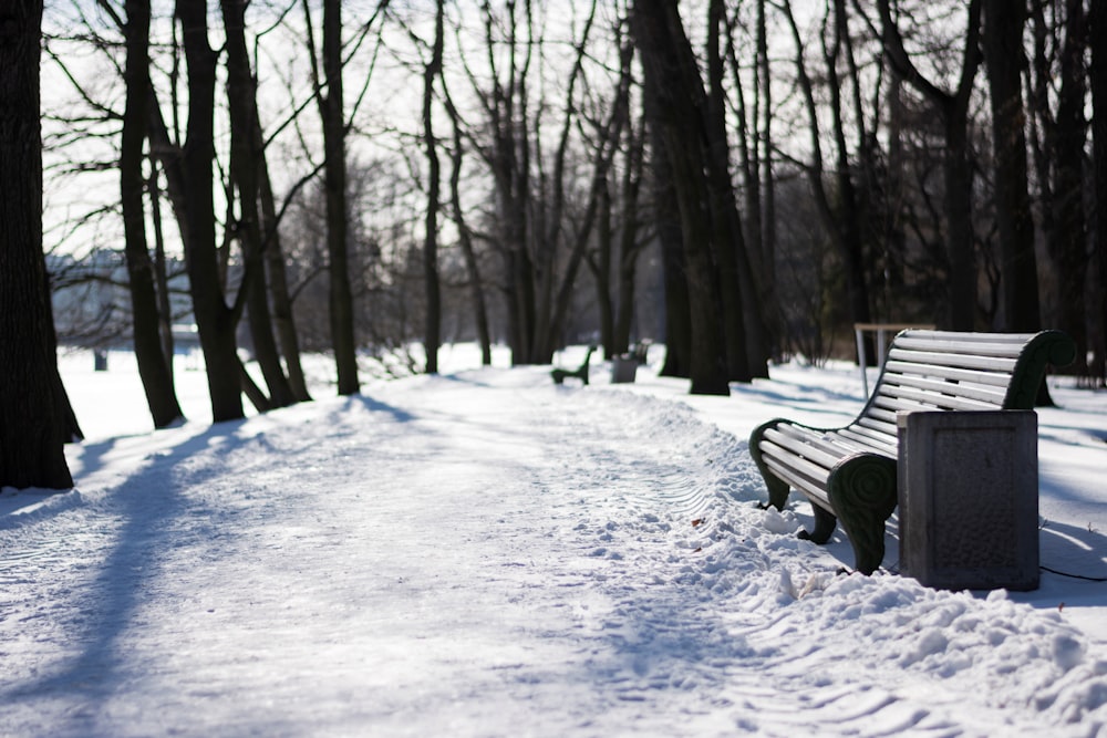 benches in the snow