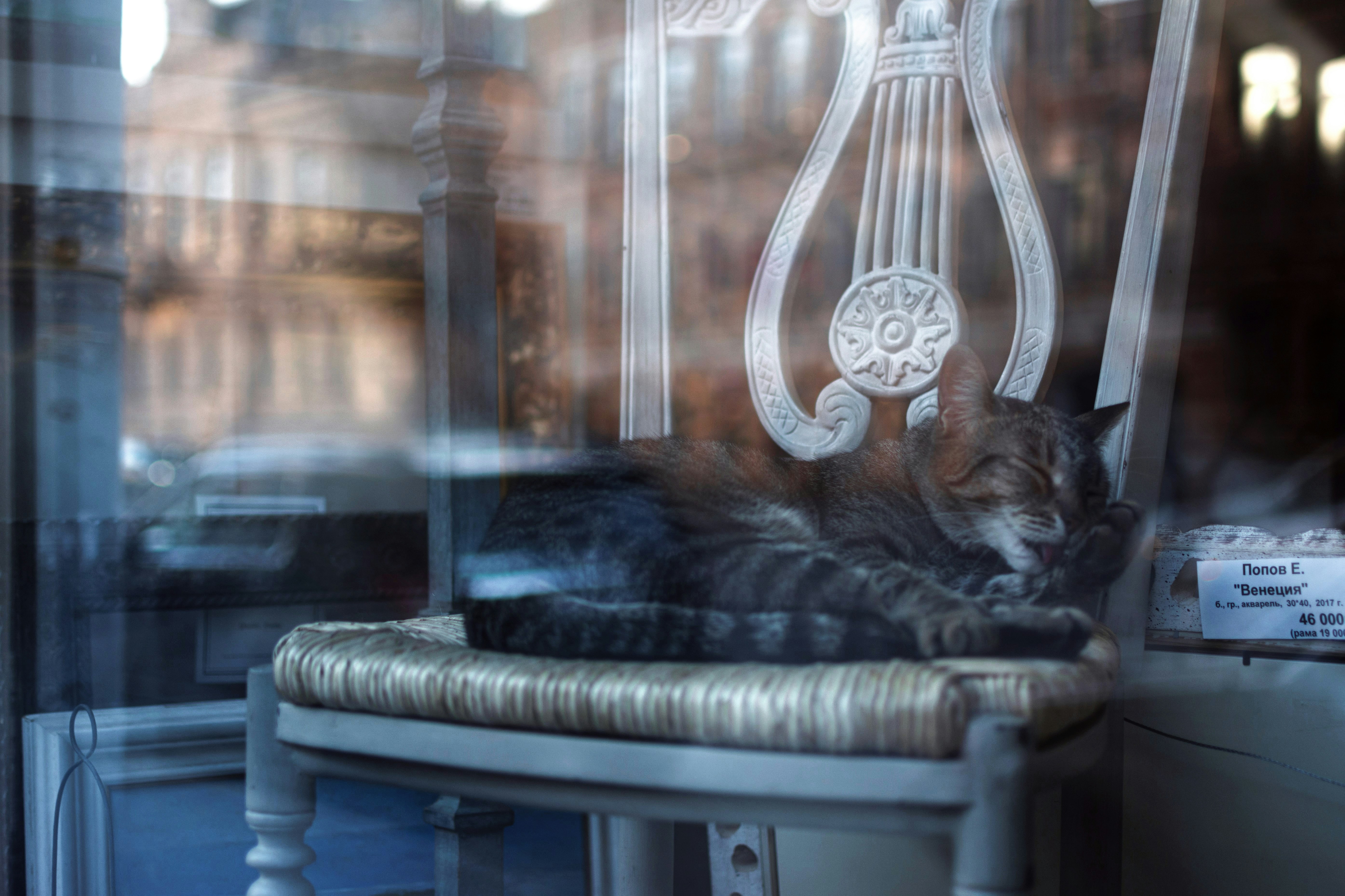 Photo by vadutskevich